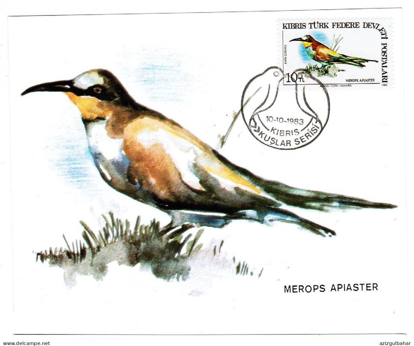 TURKISH CYPRUS CARD MAXIMUM - BIRDS - Verzamelingen, Voorwerpen & Reeksen