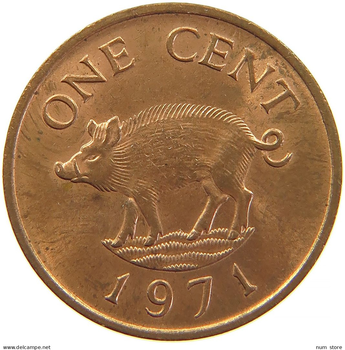 BERMUDA CENT 1971 TOP #s083 0463 - Bermudes