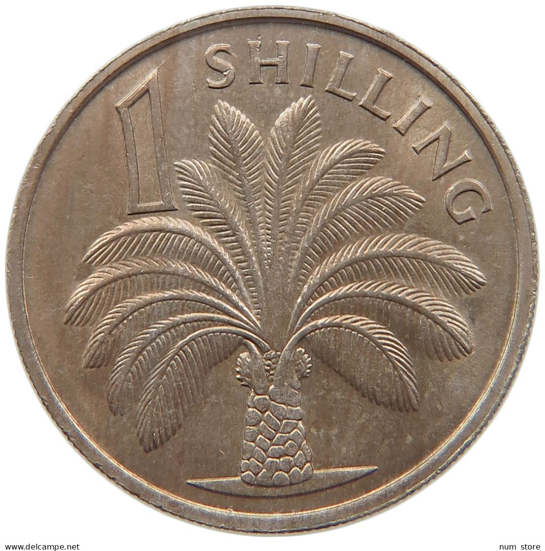 GAMBIA SHILLING 1966 #s087 0695 - Gambie