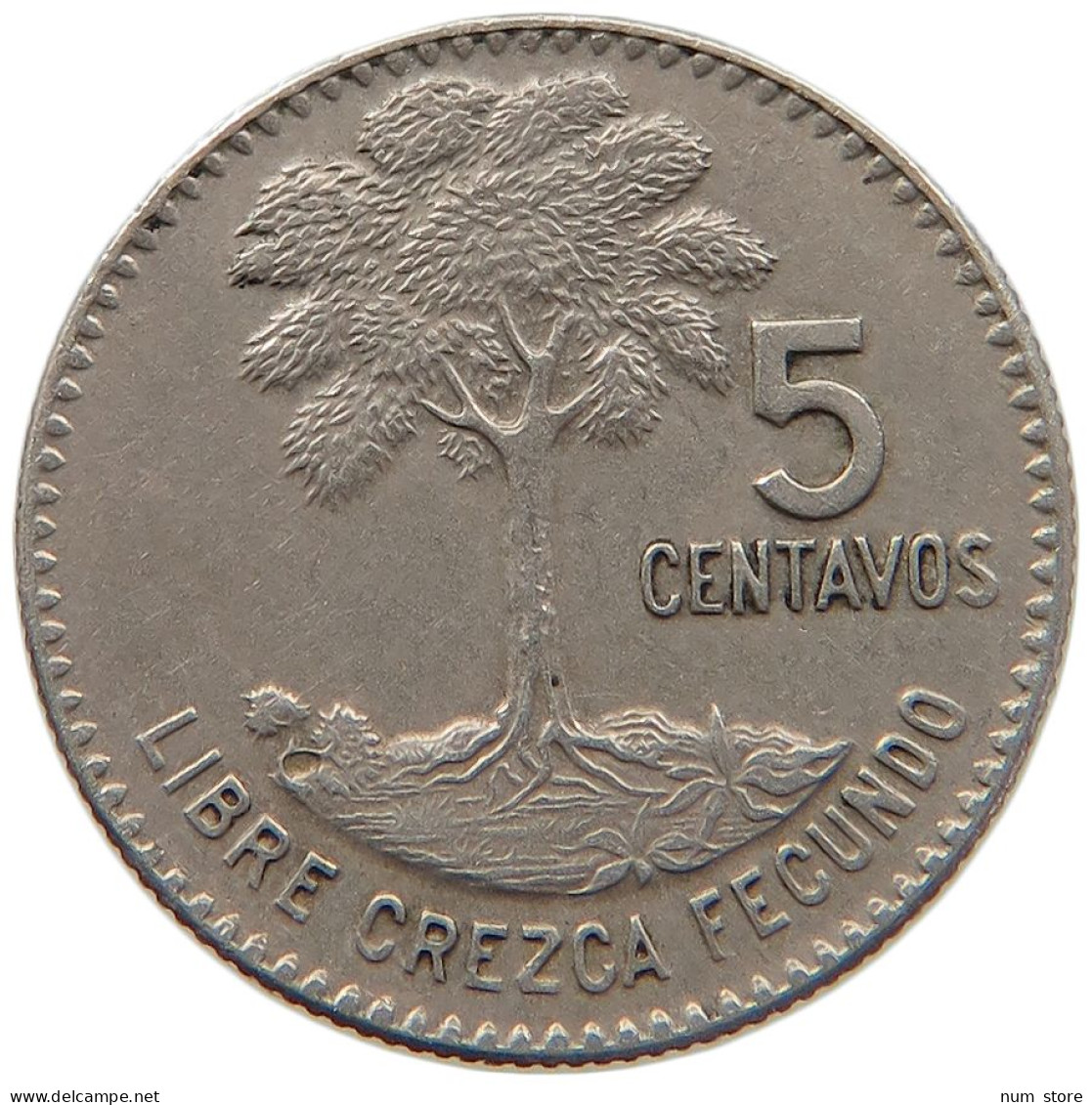 GUATEMALA 5 CENTAVOS 1969 #s084 0569 - Guatemala