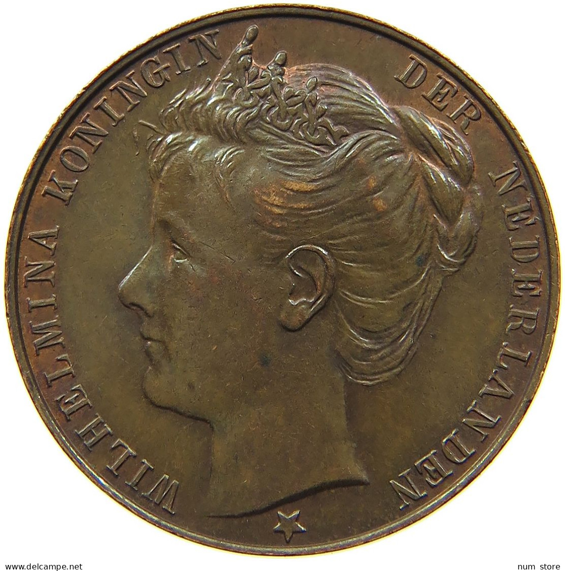 NETHERLANDS MEDAL 1898 Wilhelmina I. 1890-1948 #s086 0189 - Unclassified