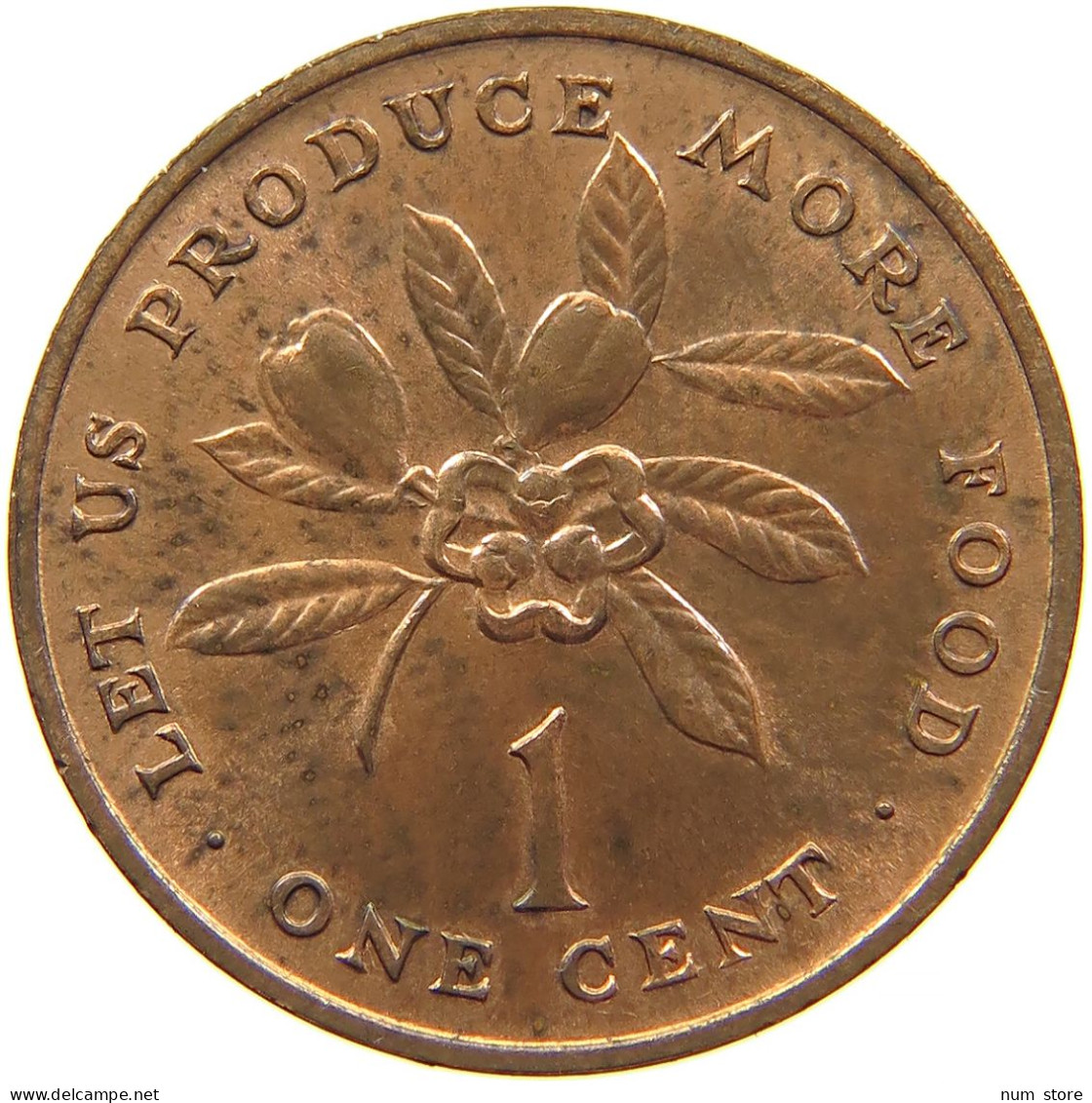 JAMAICA CENT 1973 #s084 0471 - Jamaique