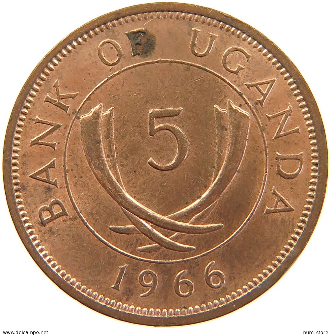 UGANDA 5 CENTS 1966 TOP #s083 0363 - Oeganda