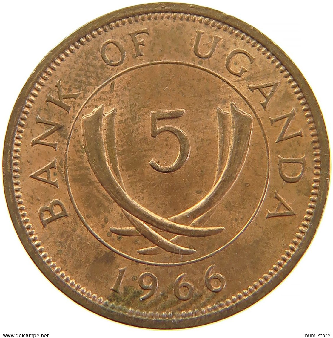 UGANDA 5 CENTS 1966 #s083 0237 - Ouganda