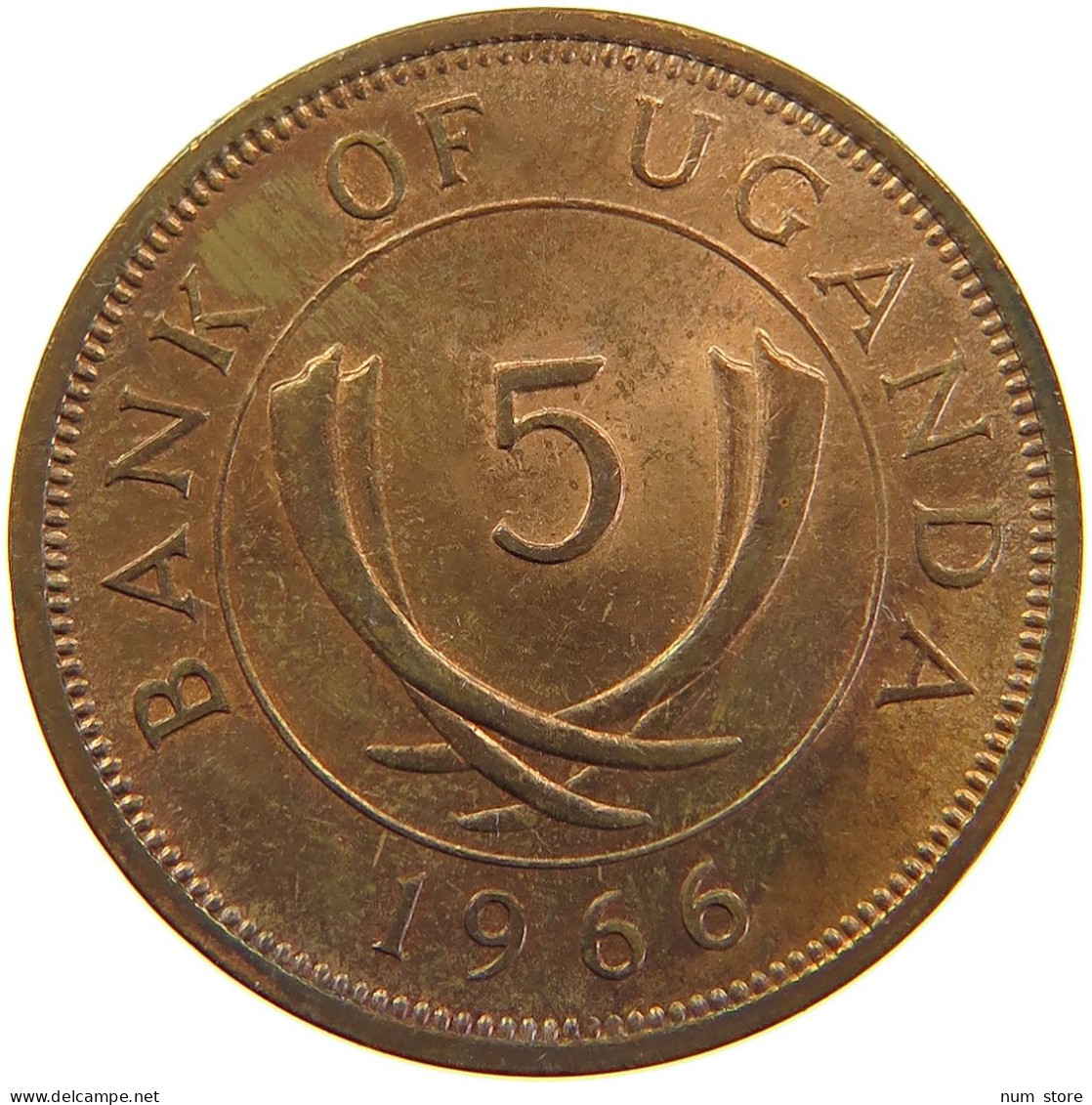 UGANDA 5 CENTS 1966 #s083 0239 - Oeganda