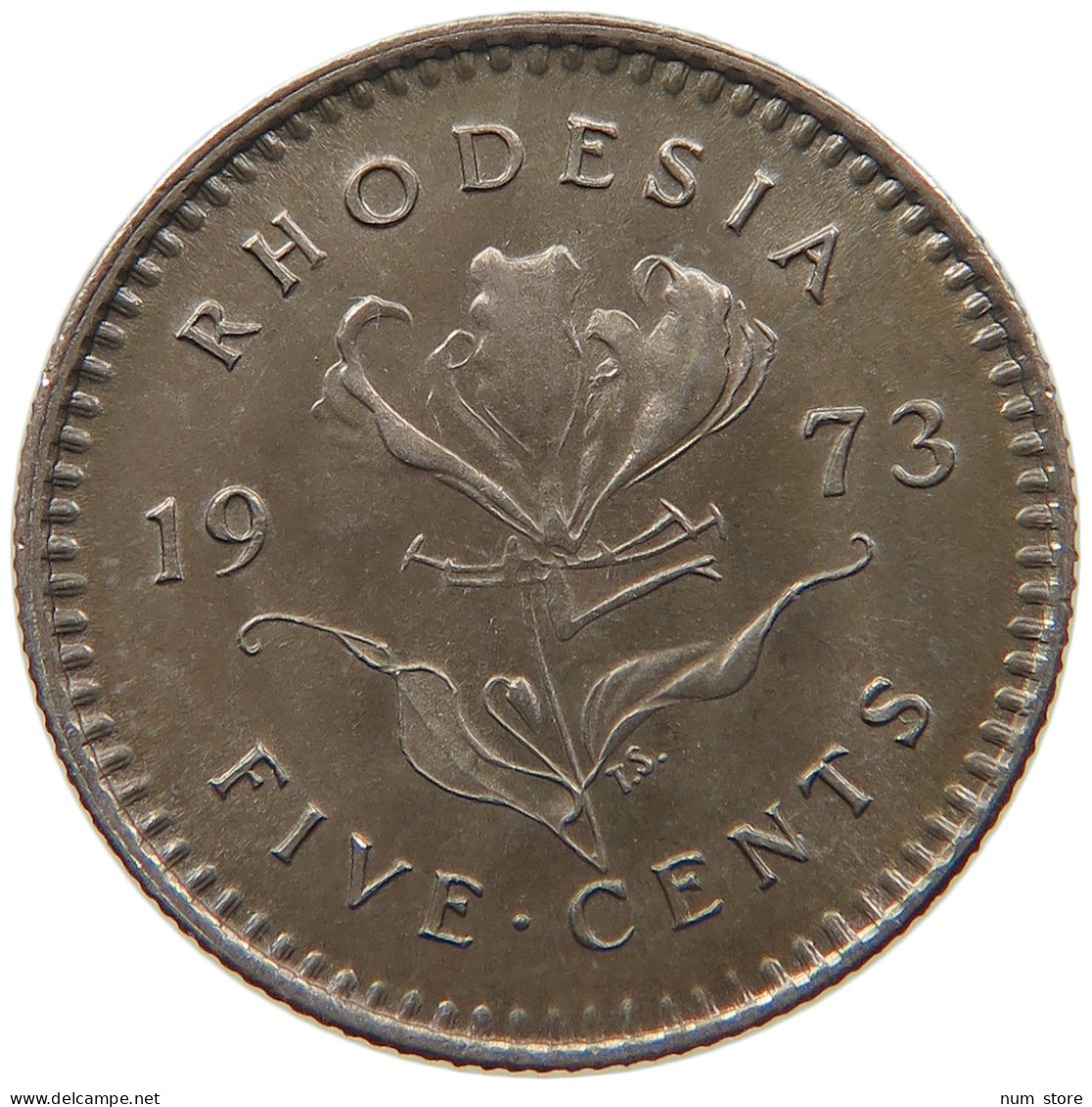 RHODESIA 5 CENTS 1973 #s087 0095 - Rhodesien