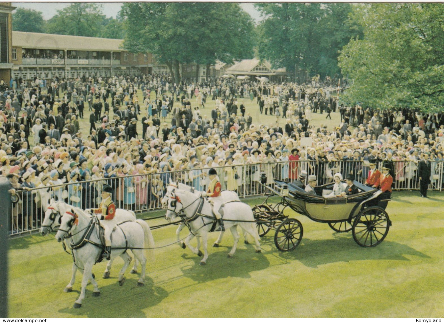 CARTOLINA  ASCOT,BERKSHIRE,INGHILTERRA,REGNO UNITO-ASCOT RACECOURSE-THE ROYAL PROCESSION-NON VIAGGIATA - Windsor