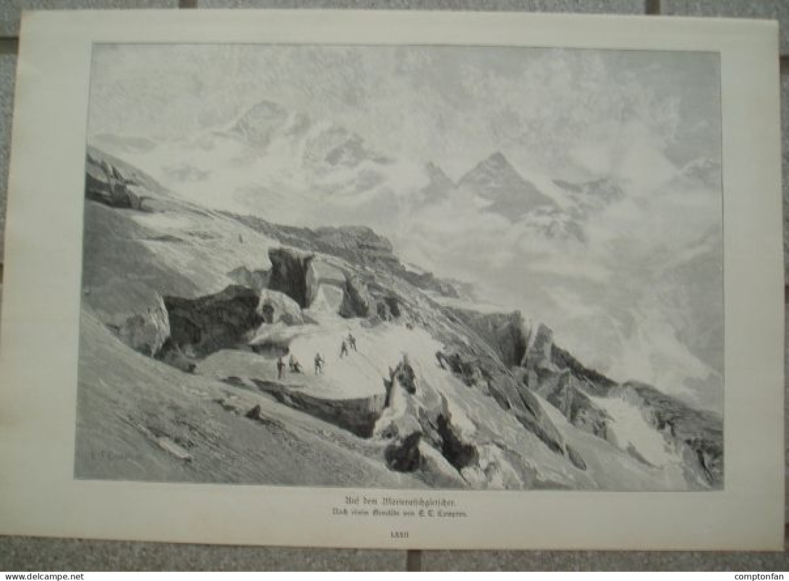 D101 008 Compton Bergsteiger Morteratschgletscher 40x27 Cm Druck 1891 !! - Other & Unclassified