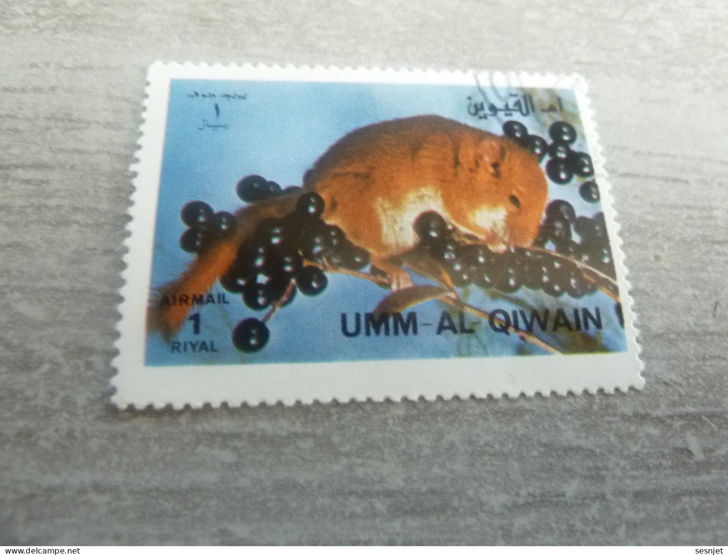 Umm Al Qiwain - Animaux En Voie De Disparition - Souris - Val 1 Riyal - Air Mail - Oblitéré - Année 1972 - - Roedores
