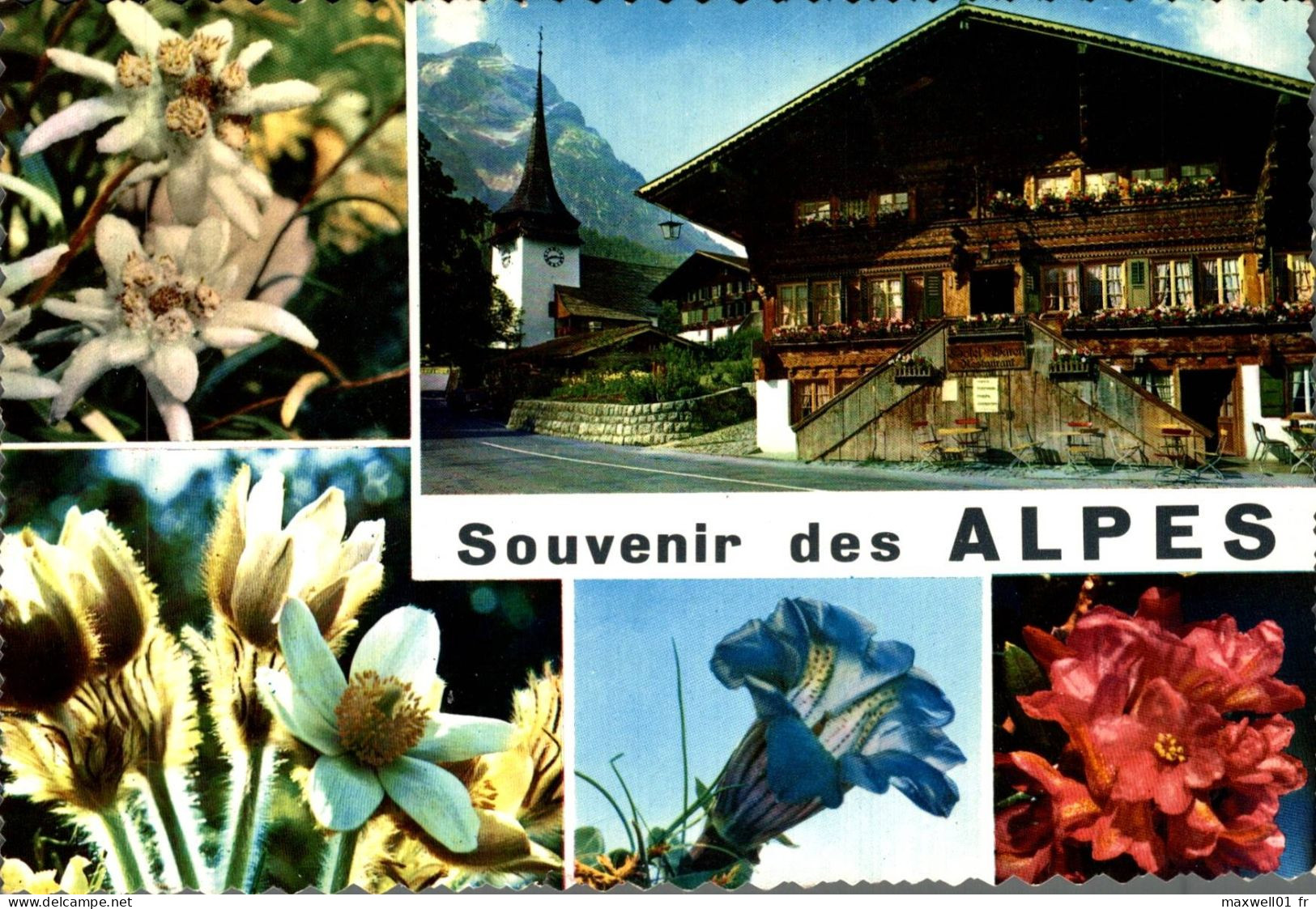 M8 - Souvenir Des Alpes - Rhône-Alpes