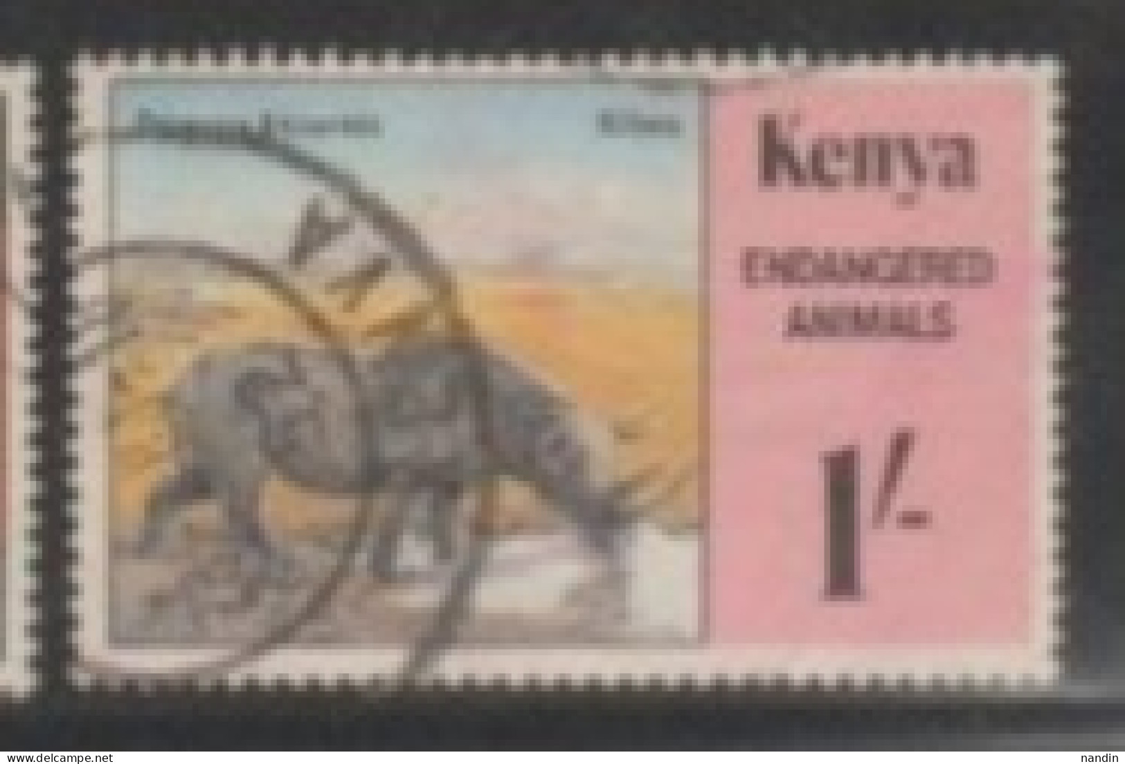 1985 KENYA STAMP USED On Wild Life/Fauna/Mammals/Rhinos/ Diceros Bicornis/ Endangered Specie - Rhinoceros