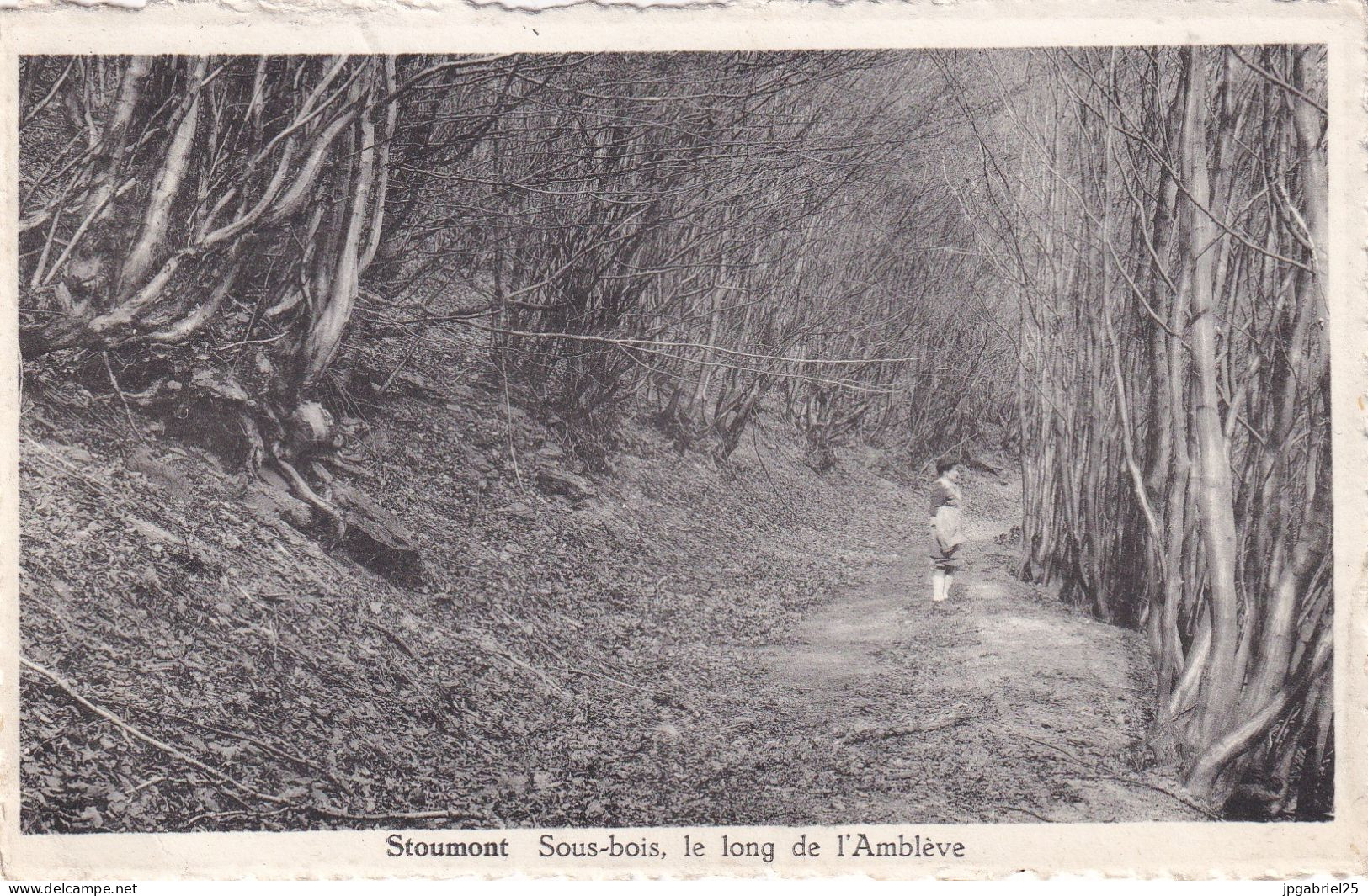 Stoumont Sous Bois Le Long De L Ambleve - Stoumont