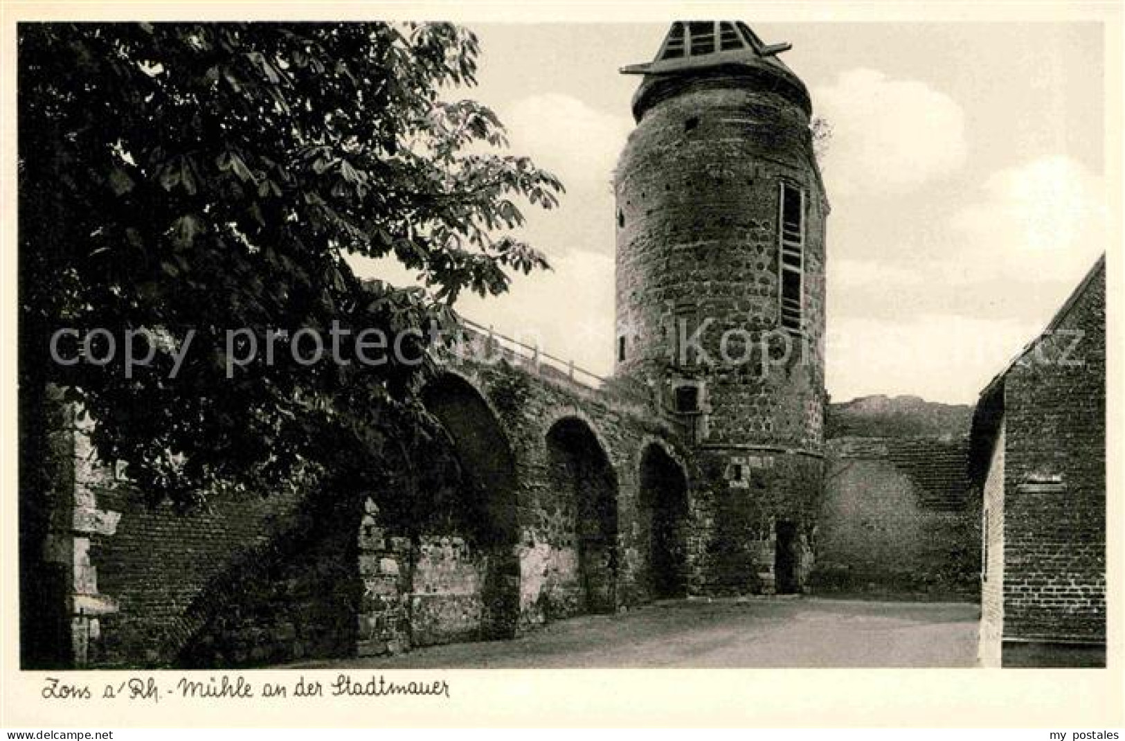 42610926 Zons Muehle Stadtmauer Dormagen - Dormagen