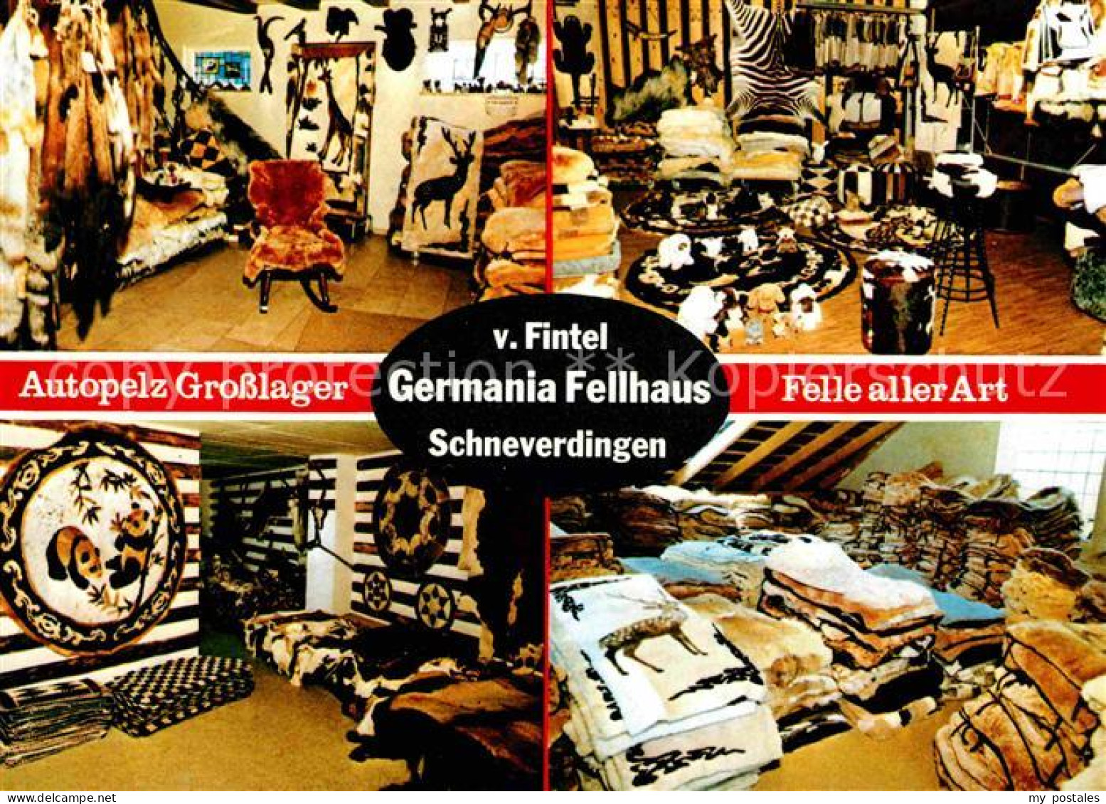 42607359 Schneverdingen Germania Fellhaus Felle Schneverdingen - Schneverdingen