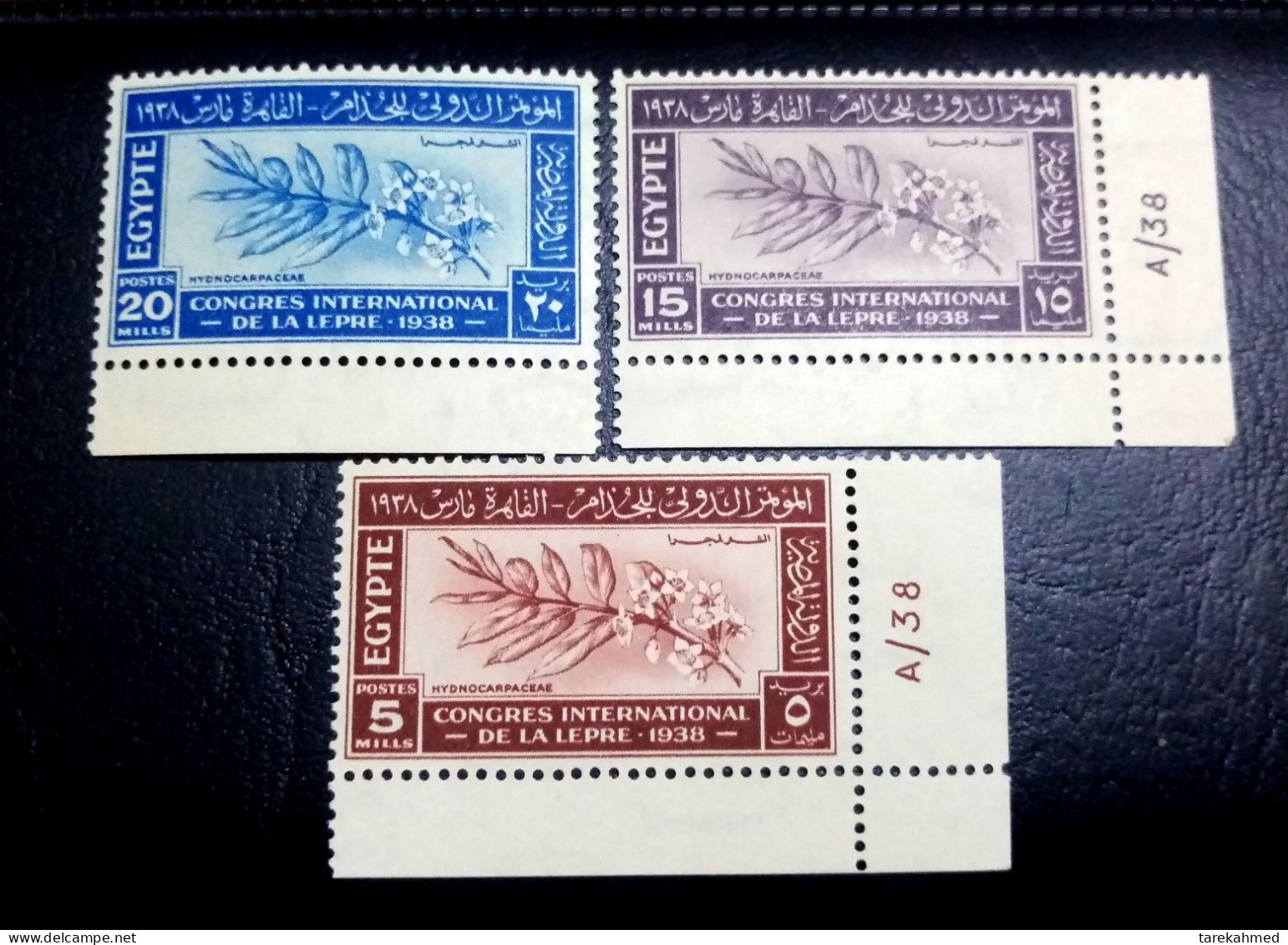 Égypt 1938, Mi. 248-250, Lebre Int. Congress, MNH With Control Number. Rare - Unused Stamps