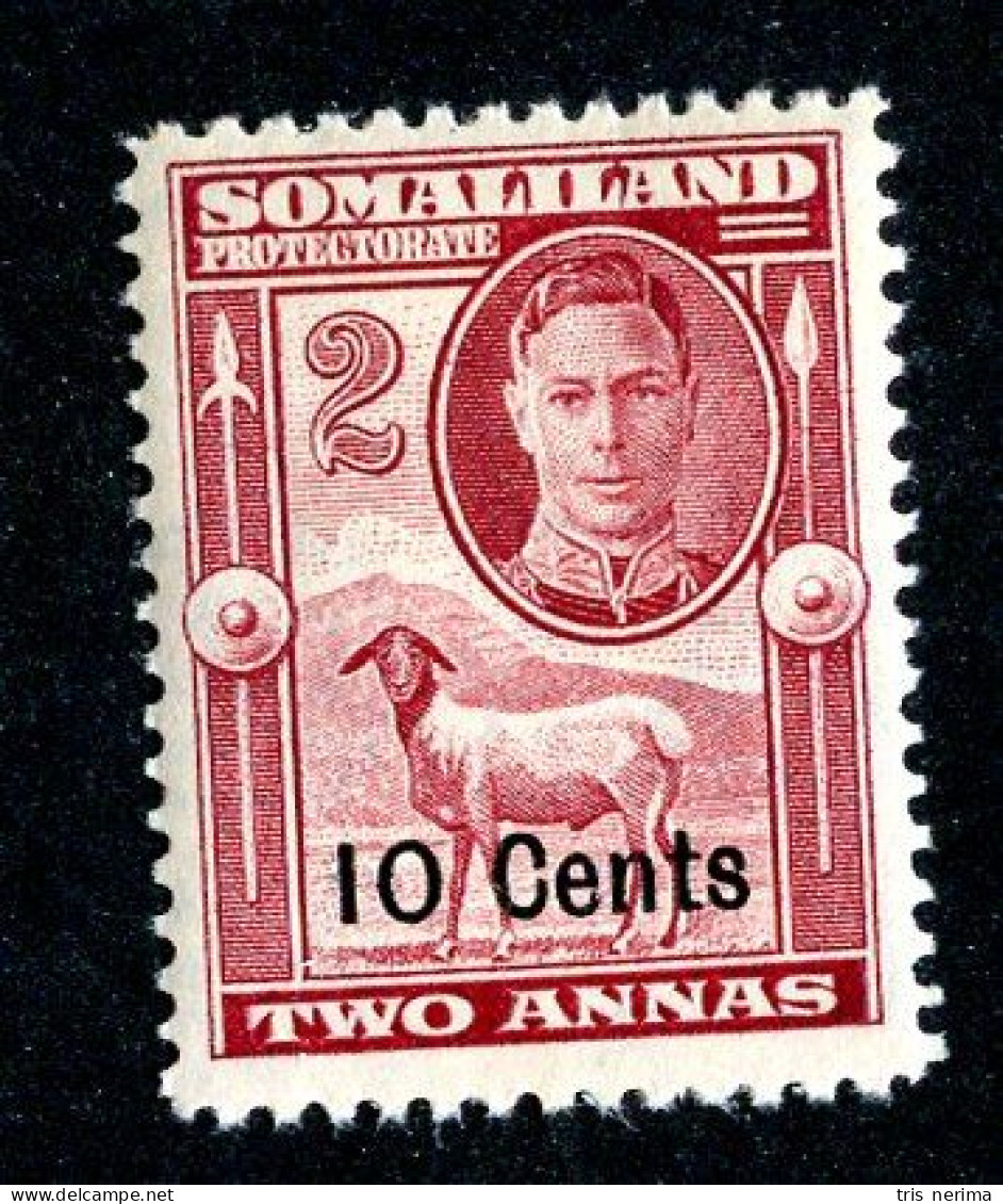 532 BCXX 1951 Scott # 117 Mnh** (offers Welcome) - Somalilandia (Protectorado ...-1959)