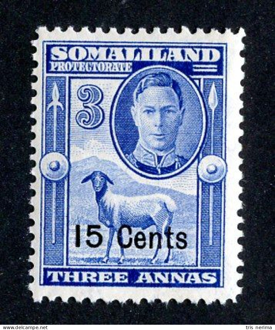 533 BCXX 1951 Scott # 118 Mnh** (offers Welcome) - Somaliland (Protectorat ...-1959)