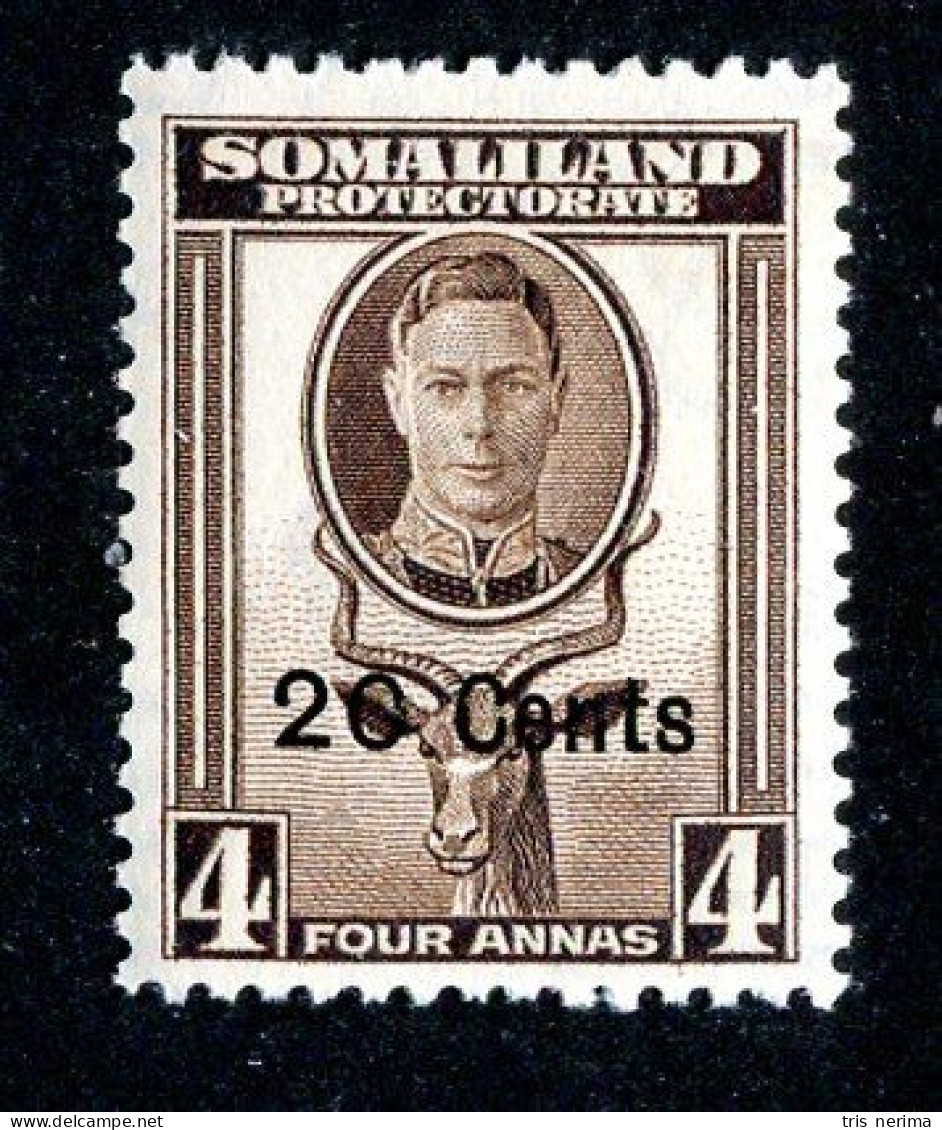 534 BCXX 1951 Scott # 119 Mnh** (offers Welcome) - Somaliland (Protectorate ...-1959)