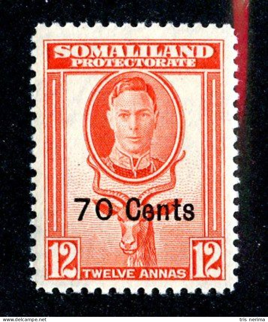 537 BCXX 1951 Scott # 122 Mnh** (offers Welcome) - Somaliland (Protectorat ...-1959)