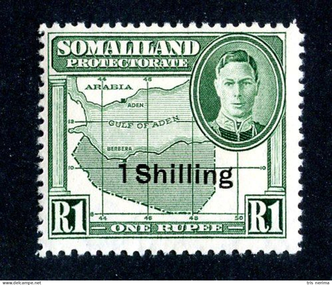 538 BCXX 1951 Scott # 123 Mnh** (offers Welcome) - Somaliland (Protectorat ...-1959)