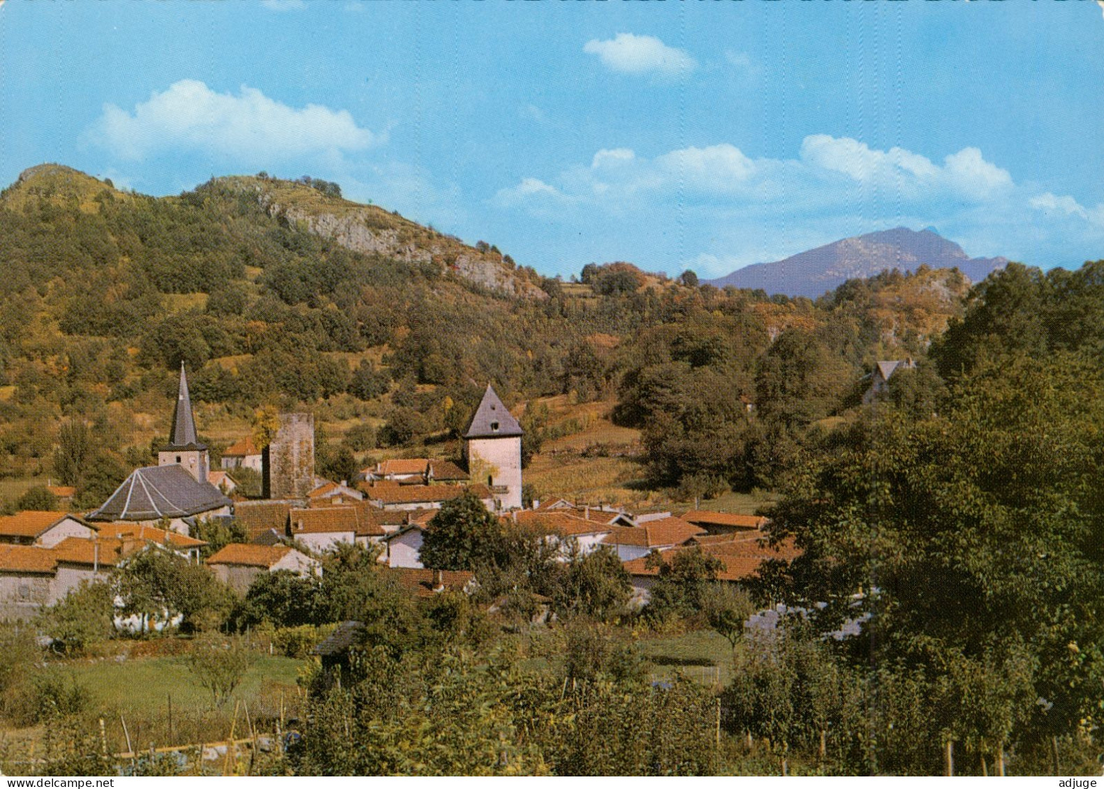 CPSM-65- MAULEON BAROUSSE - Vue Générale - Ann.60**SUP * 2 Scans - Mauleon Barousse