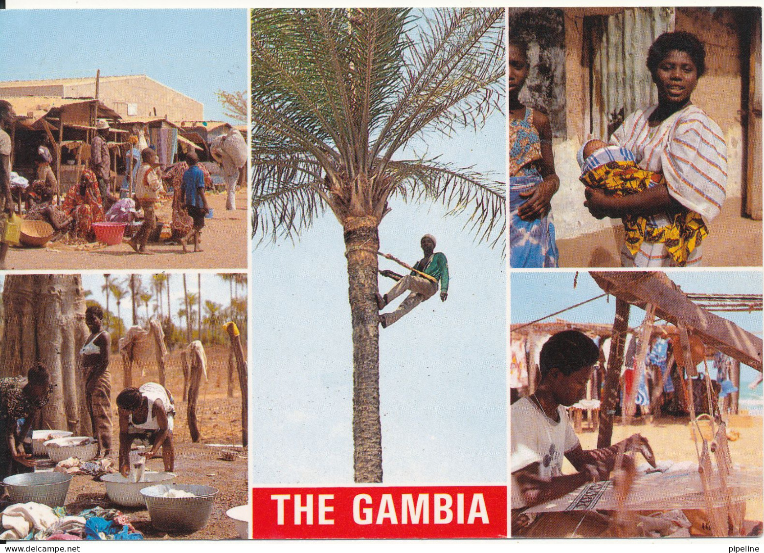 Gambia Postcard Sent To Denmark (Scenes From Local Life) - Gambie