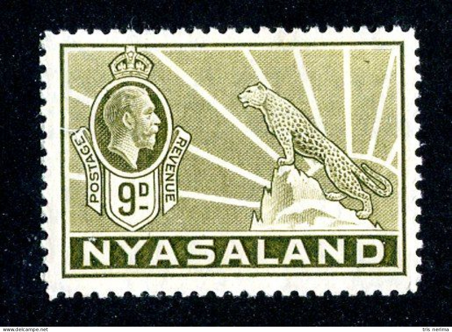 576 BCXX 1934 Scott # 45 Mnh** (offers Welcome) - Nyassaland (1907-1953)