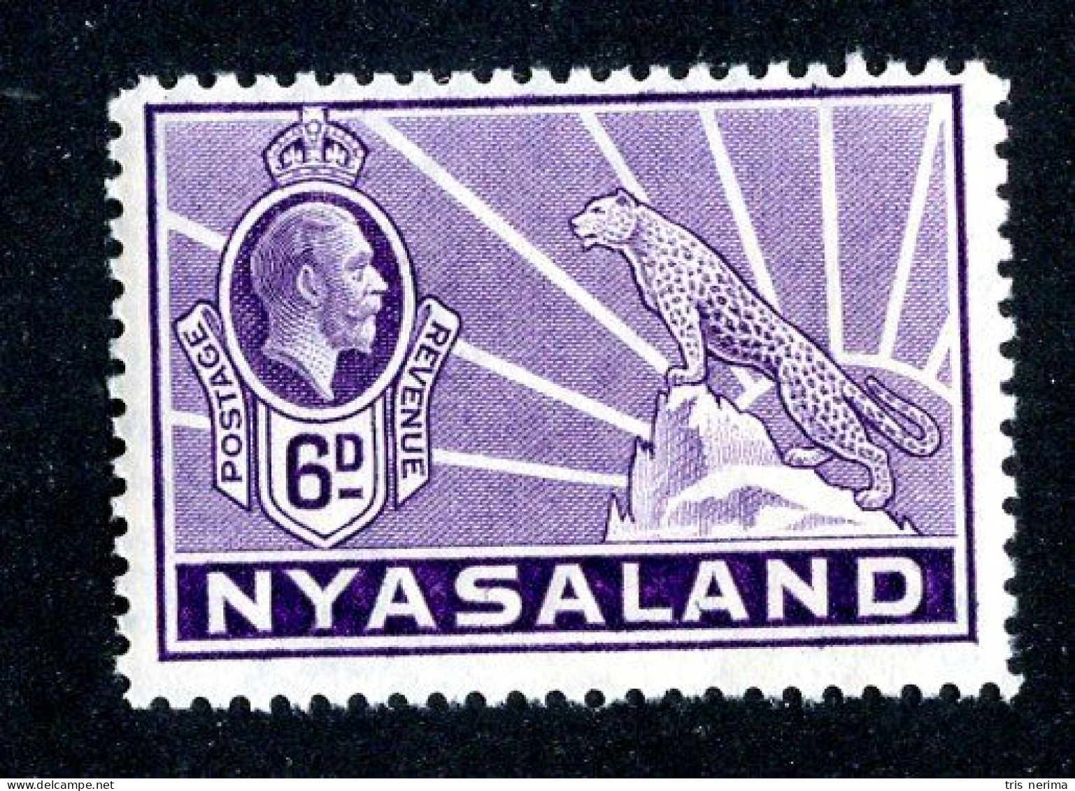 577 BCXX 1934 Scott # 44 Mnh** (offers Welcome) - Nyassaland (1907-1953)