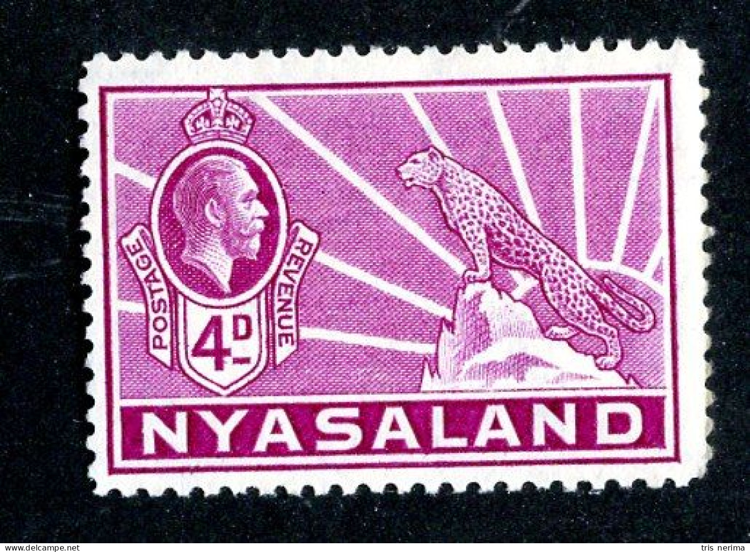 578 BCXX 1934 Scott # 43 Mnh** (offers Welcome) - Nyassaland (1907-1953)