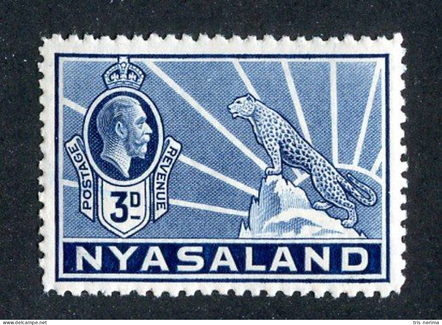 579 BCXX 1934 Scott # 42 Mnh** (offers Welcome) - Nyassaland (1907-1953)