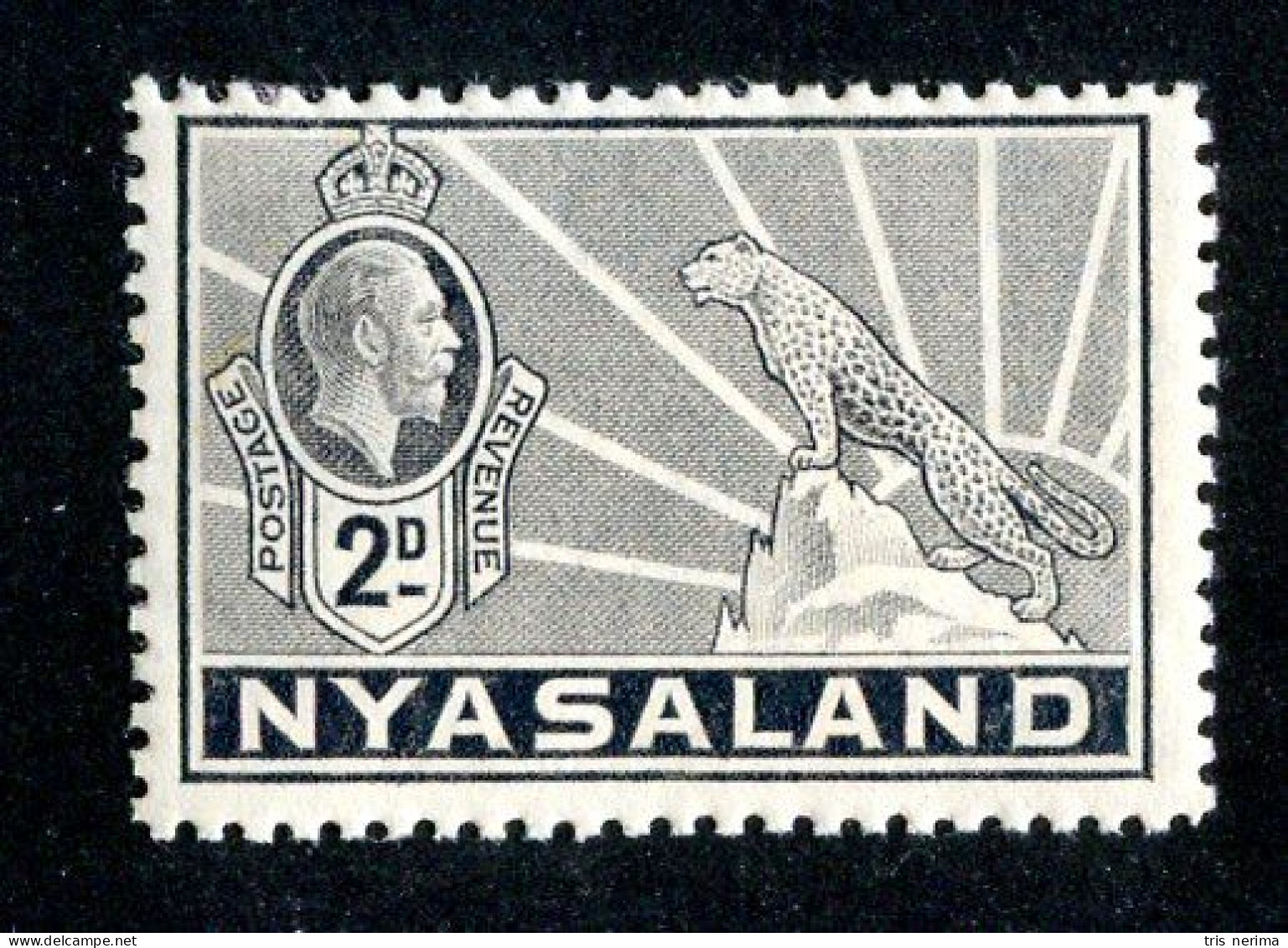 580 BCXX 1934 Scott # 41 Mnh** (offers Welcome) - Nyassaland (1907-1953)