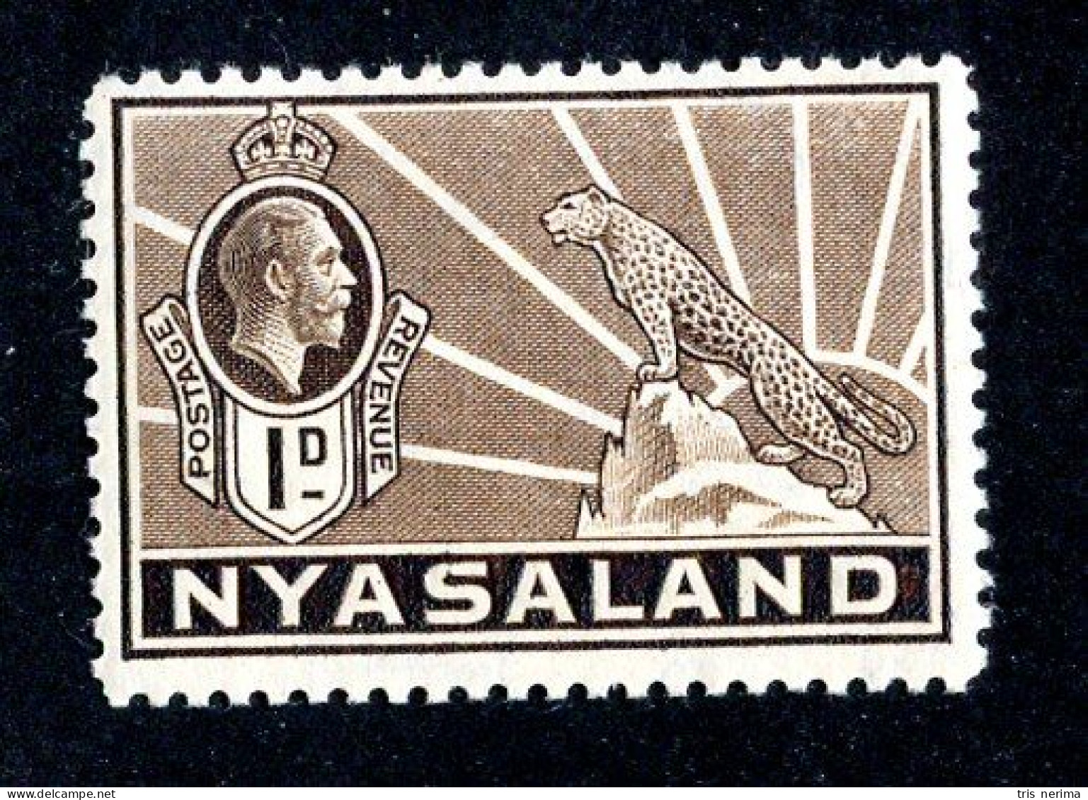 582 BCXX 1934 Scott # 39 Mnh** (offers Welcome) - Nyasaland (1907-1953)