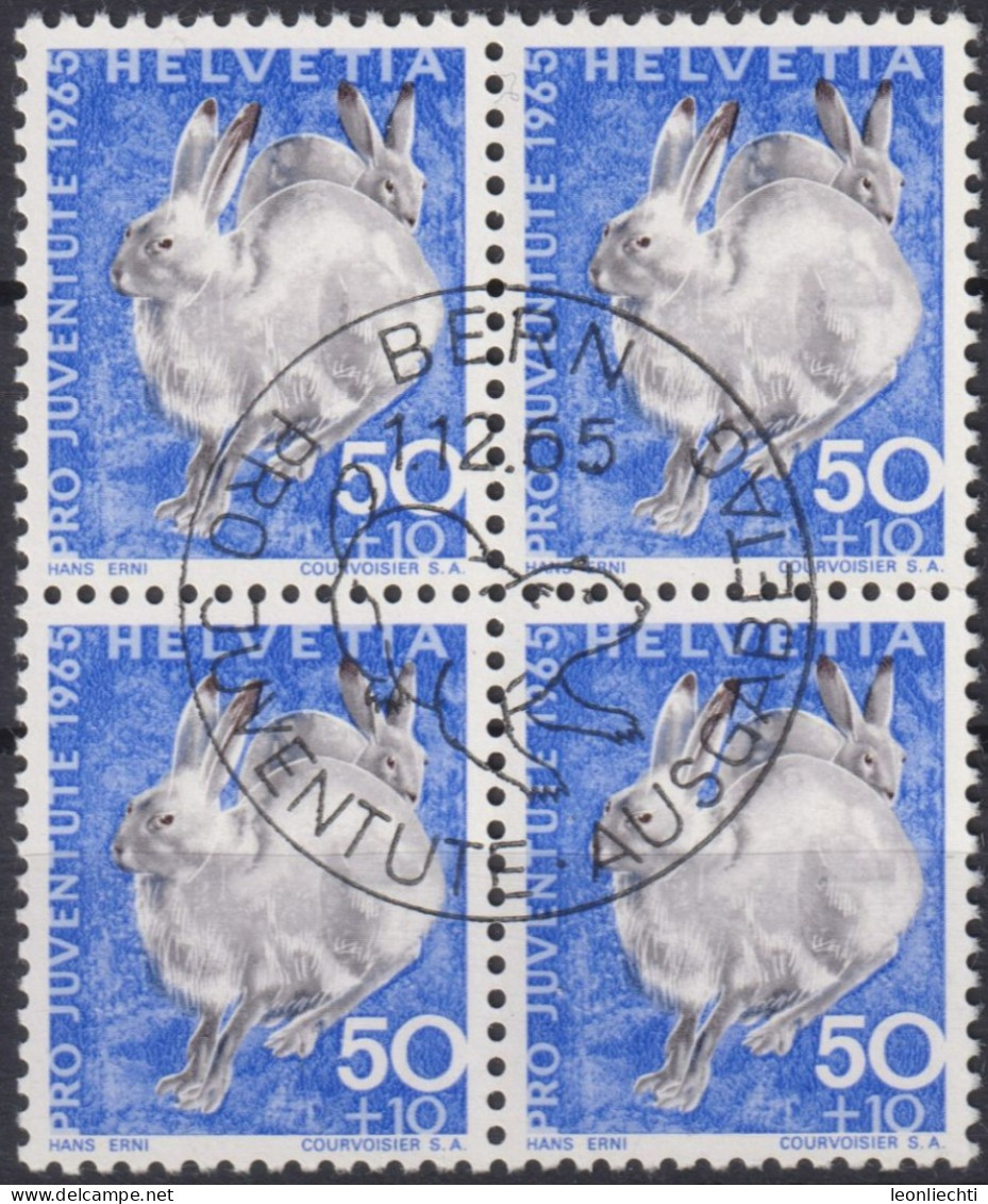 1965 Schweiz Pro Juventute ET ° Zum: CH J214, Mi: CH 830, Schneehase, Einheimische Wildtiere - Rabbits