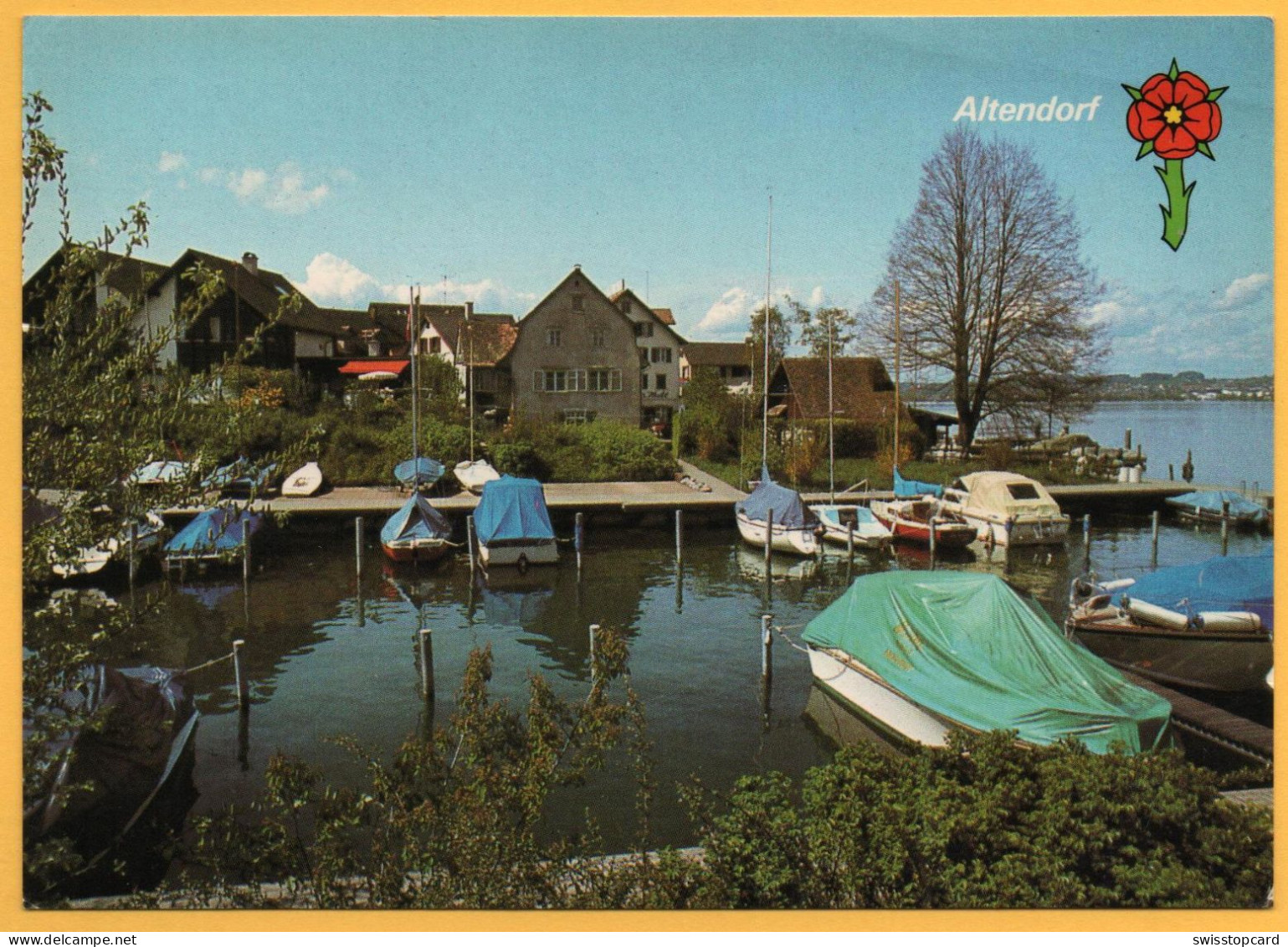 ALTENDORF Am Oberen Zürichsee Seestatt Mit Hafen - Lachen