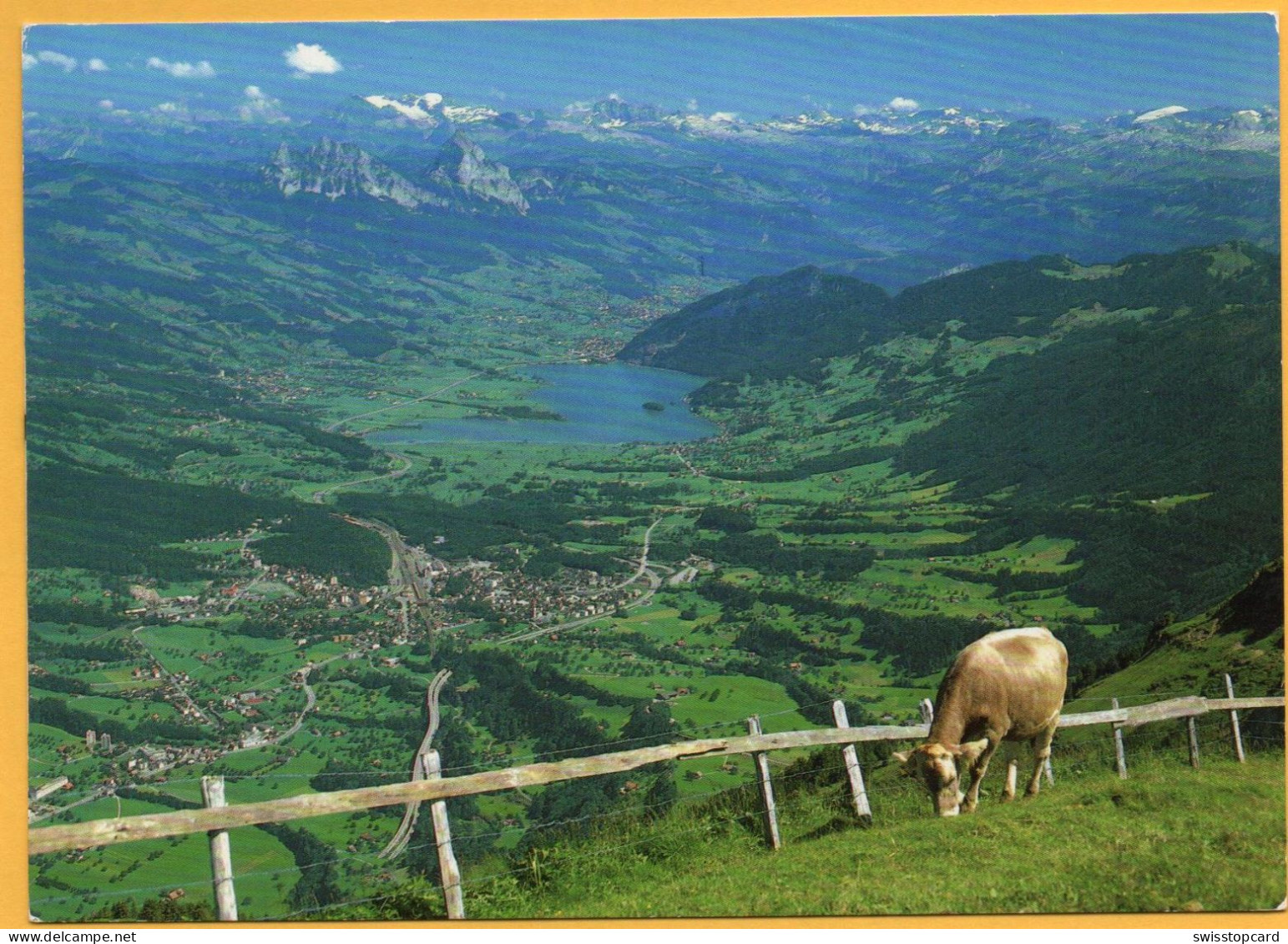 Ausblick Von RIGI-KULM Gegen LAUERZ GOLDAU Und Mythen Kuh - Arth