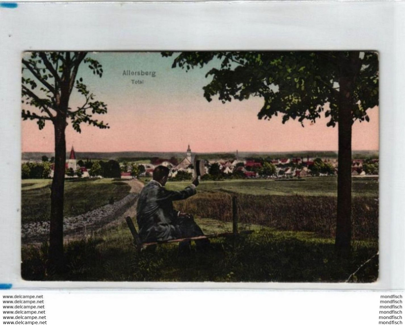 Allersberg Total 1916 Mit Wanderer - Mit Ungarischer Marke Und Stempel Budapest - Allersberg