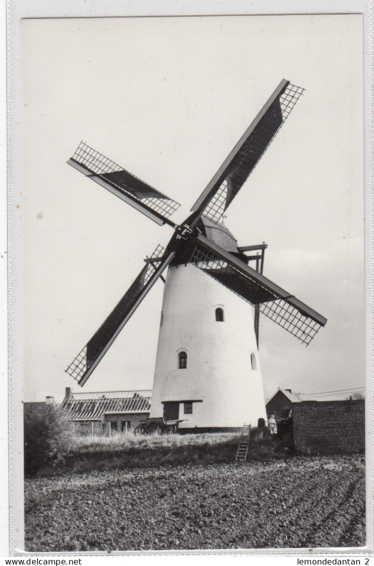 Sint-Denijs. Molen "Ter Claere". - Zwevegem