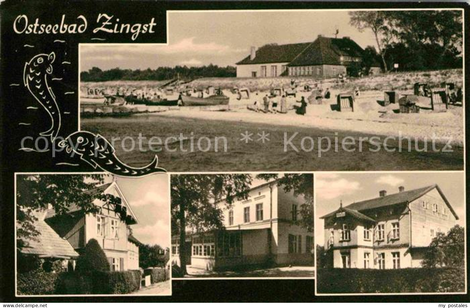 42604942 Zingst Ostseebad Panorama Ortsansichten Zingst Darss - Zingst