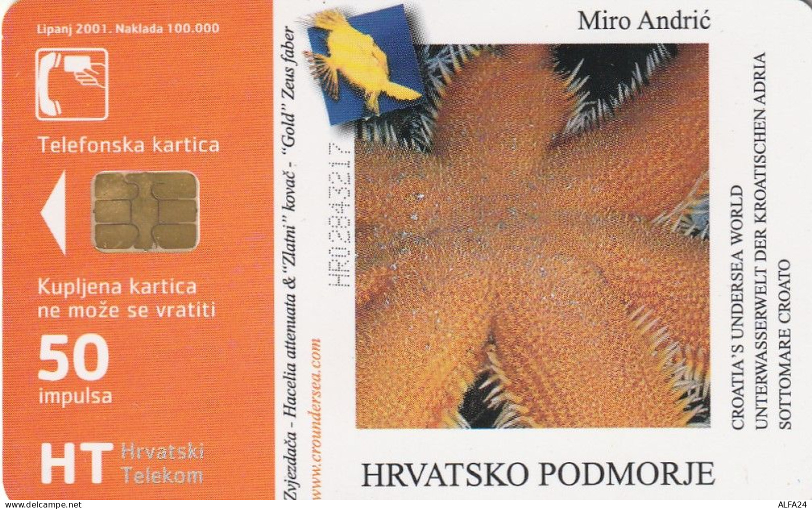 PHONE CARD CROAZIA  (CV985 - Croatie