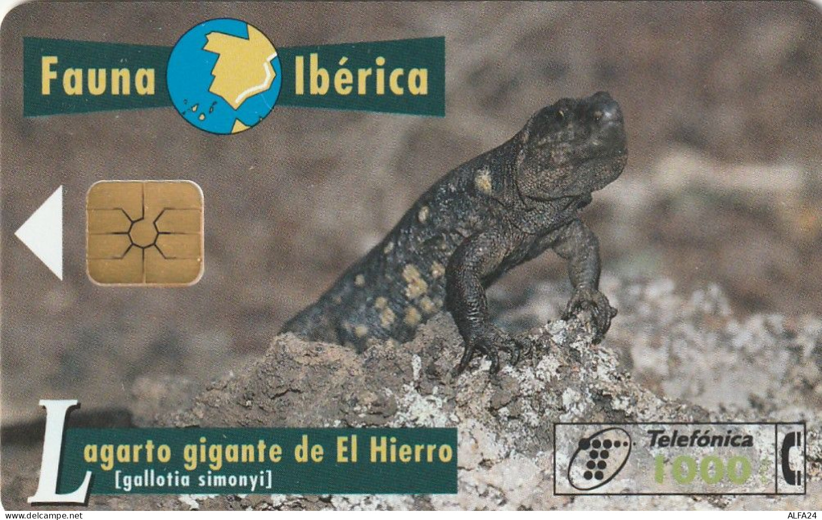 PHONE CARD SPAGNA  (CV976 - Commemorative Advertisment