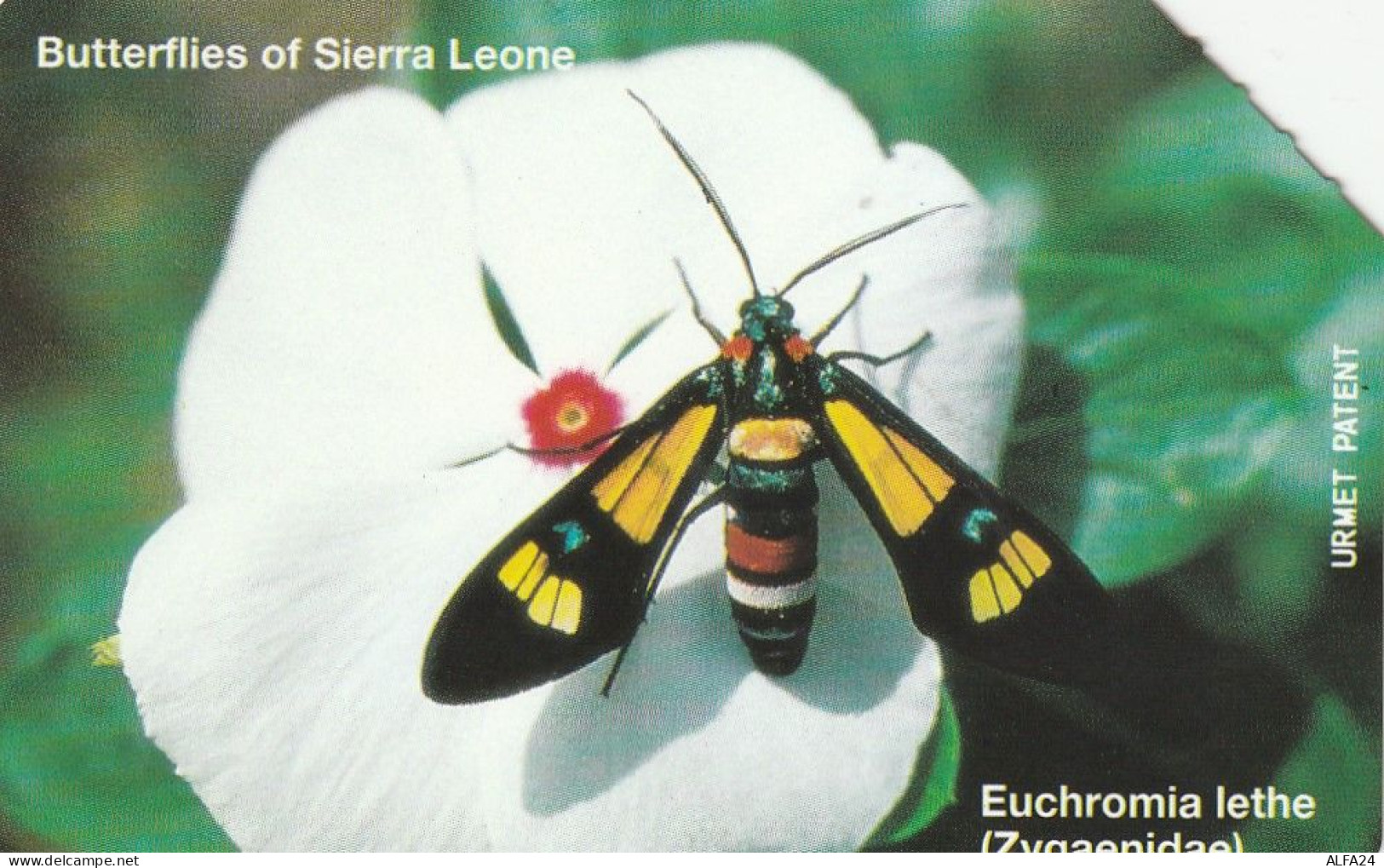 PHONE CARD SIERRA LEONE URMET (CV860 - Sierra Leona