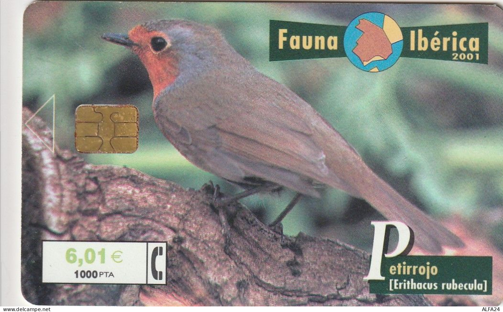 PHONE CARD SPAGNA  (CV767 - Commemorative Advertisment