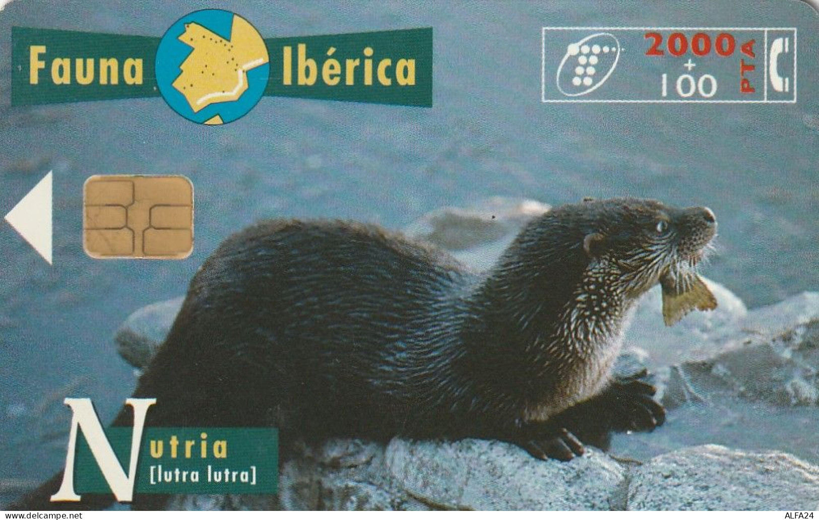 PHONE CARD SPAGNA  (CV766 - Commemorative Advertisment