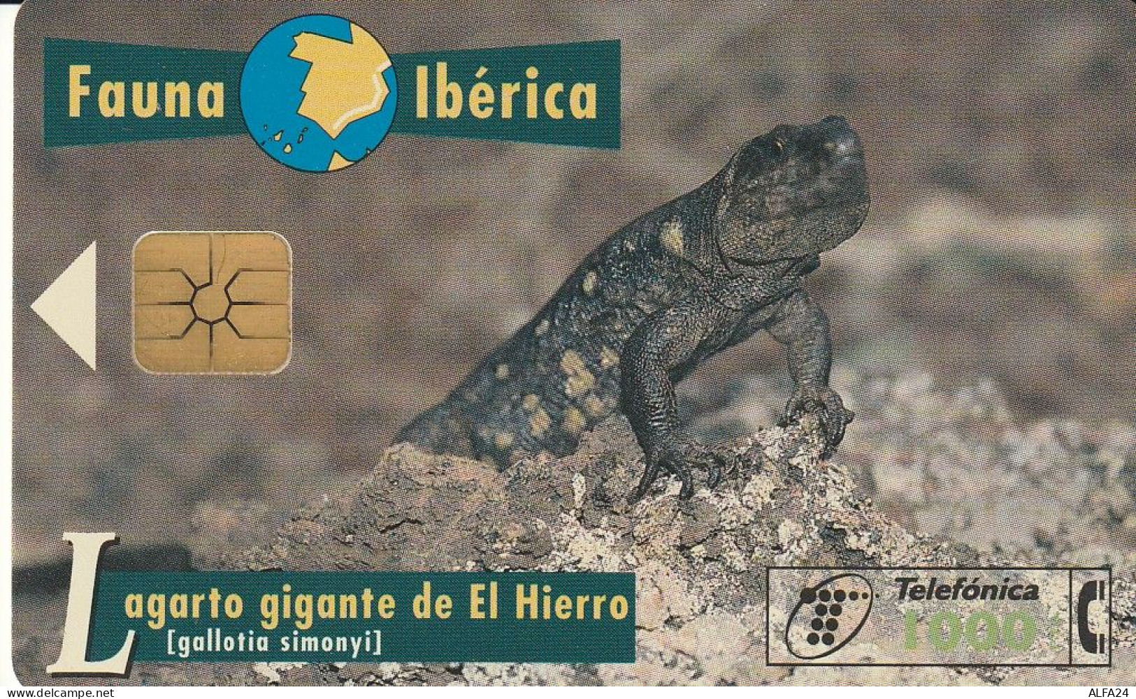 PHONE CARD SPAGNA  (CV762 - Commemorative Advertisment