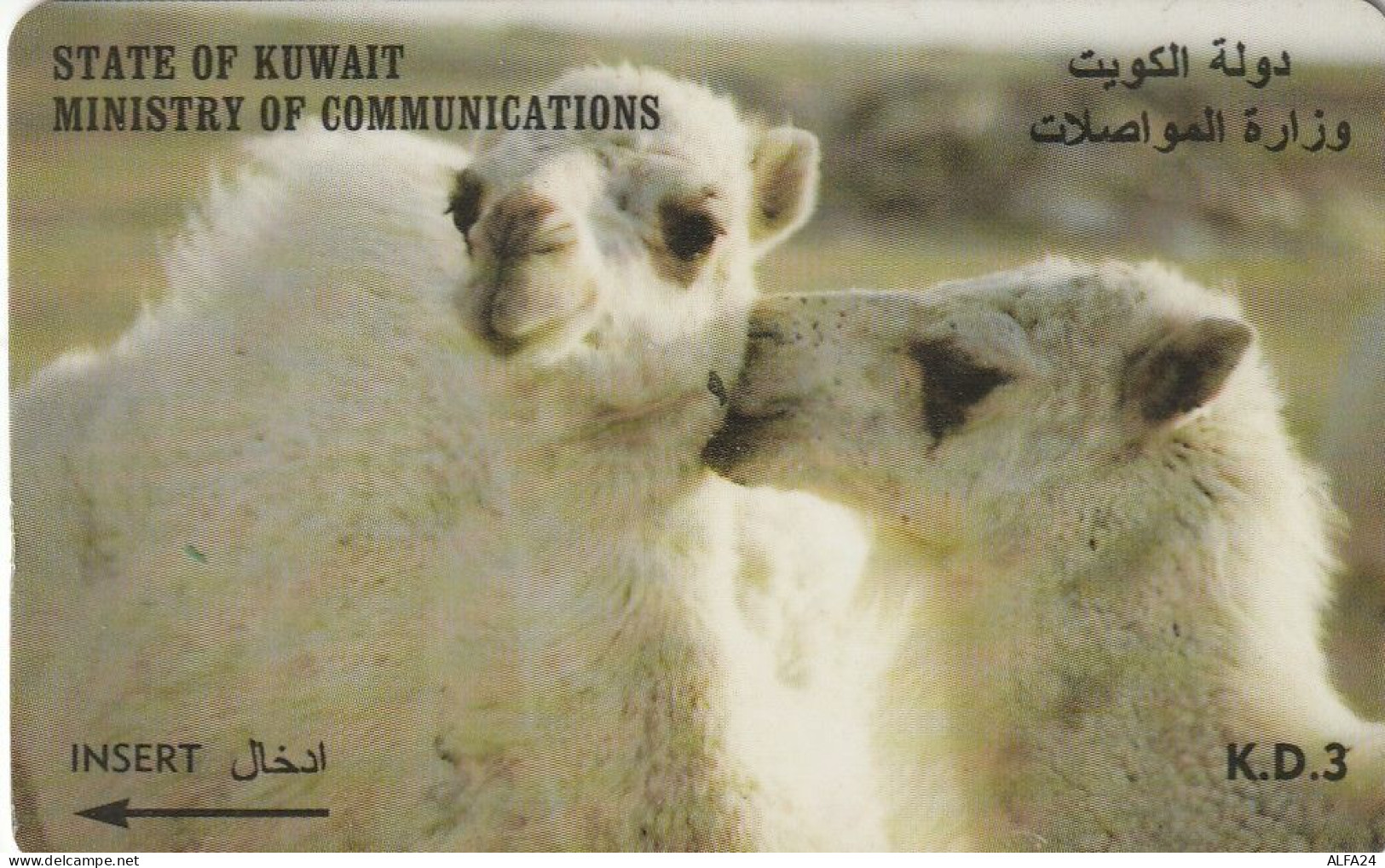 PHONE CARD KUWAIT  (CV1502 - Koweït