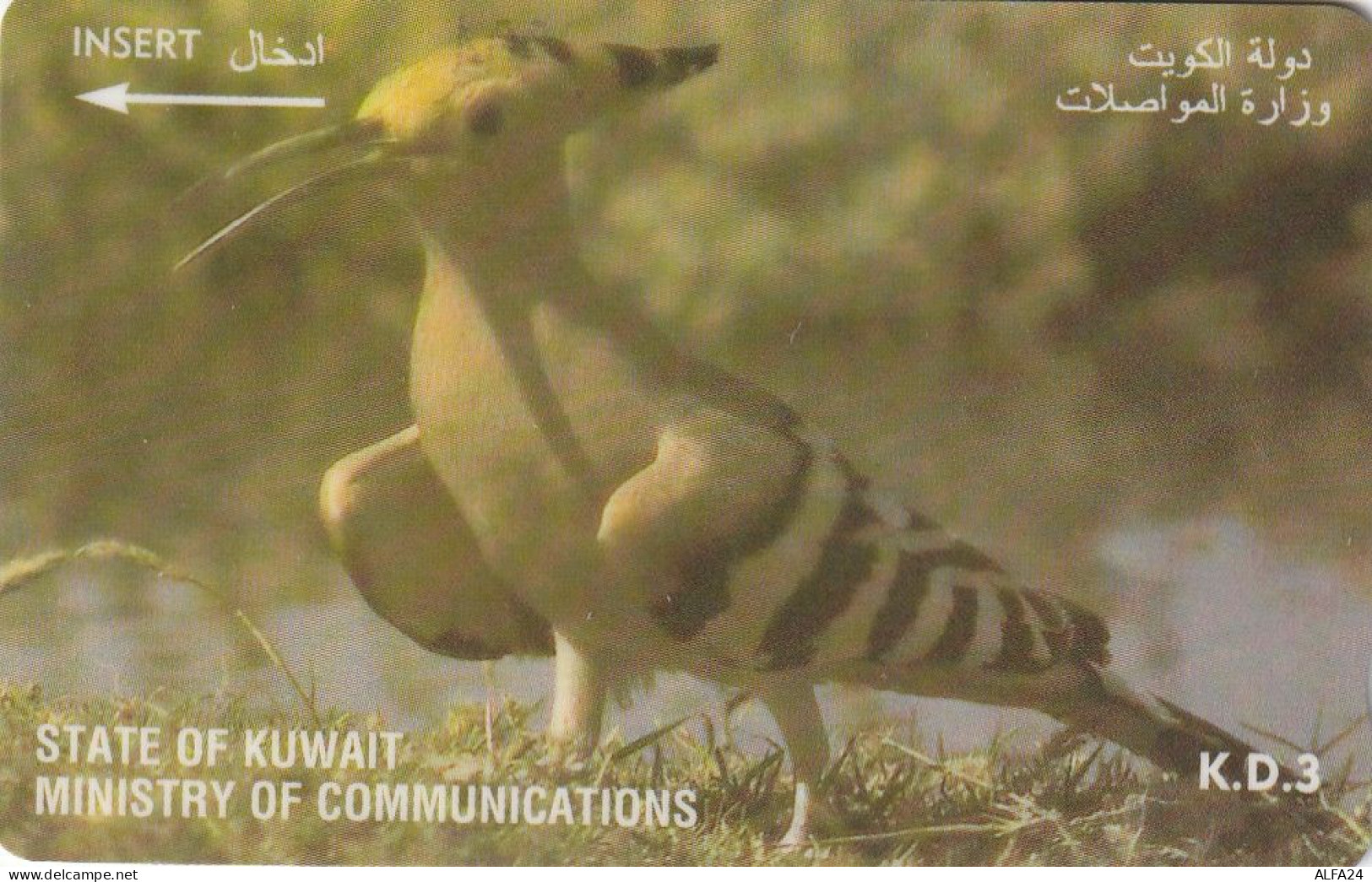 PHONE CARD KUWAIT  (CV1490 - Koweït