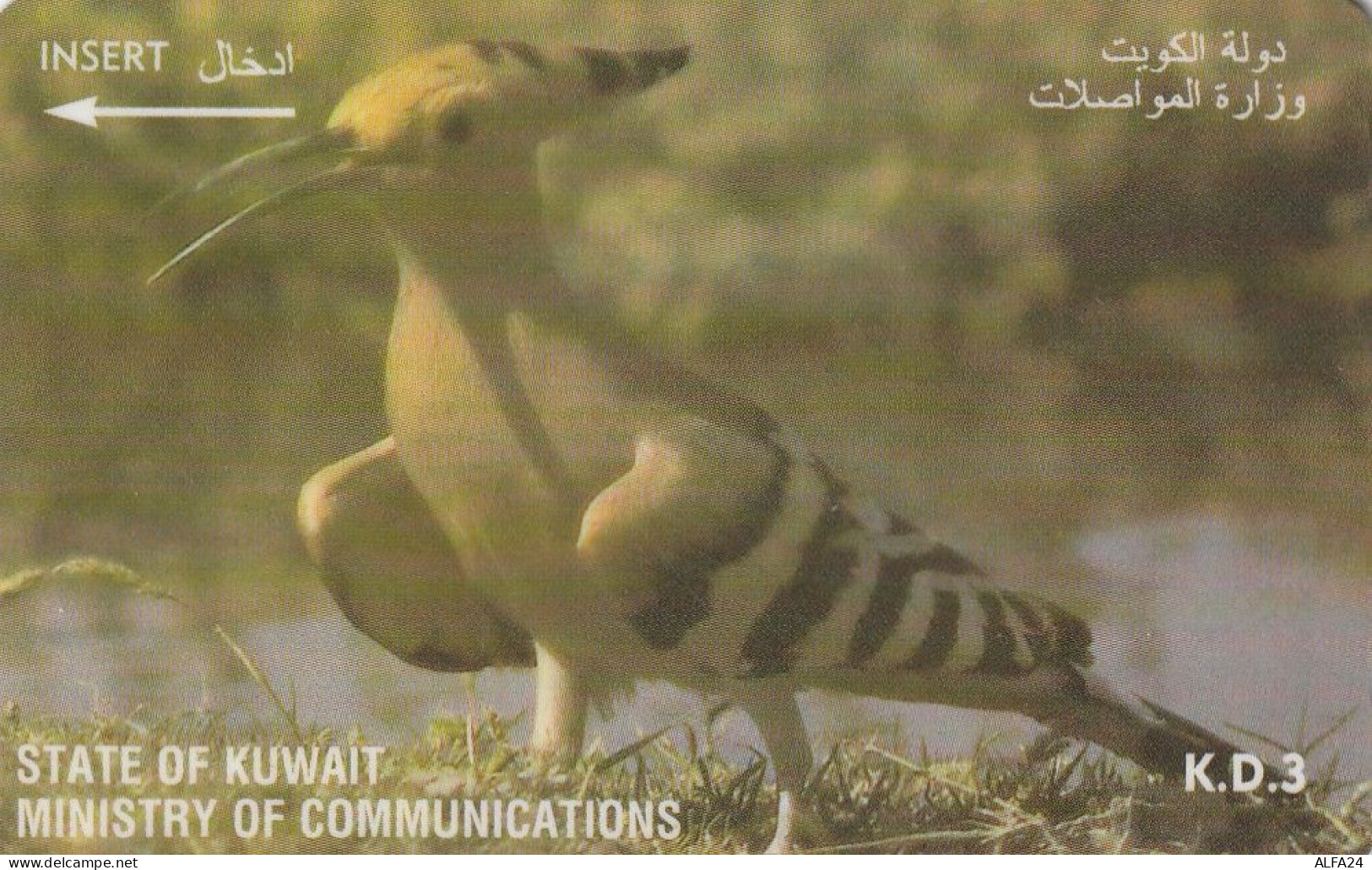 PHONE CARD KUWAIT  (CV1483 - Koweït