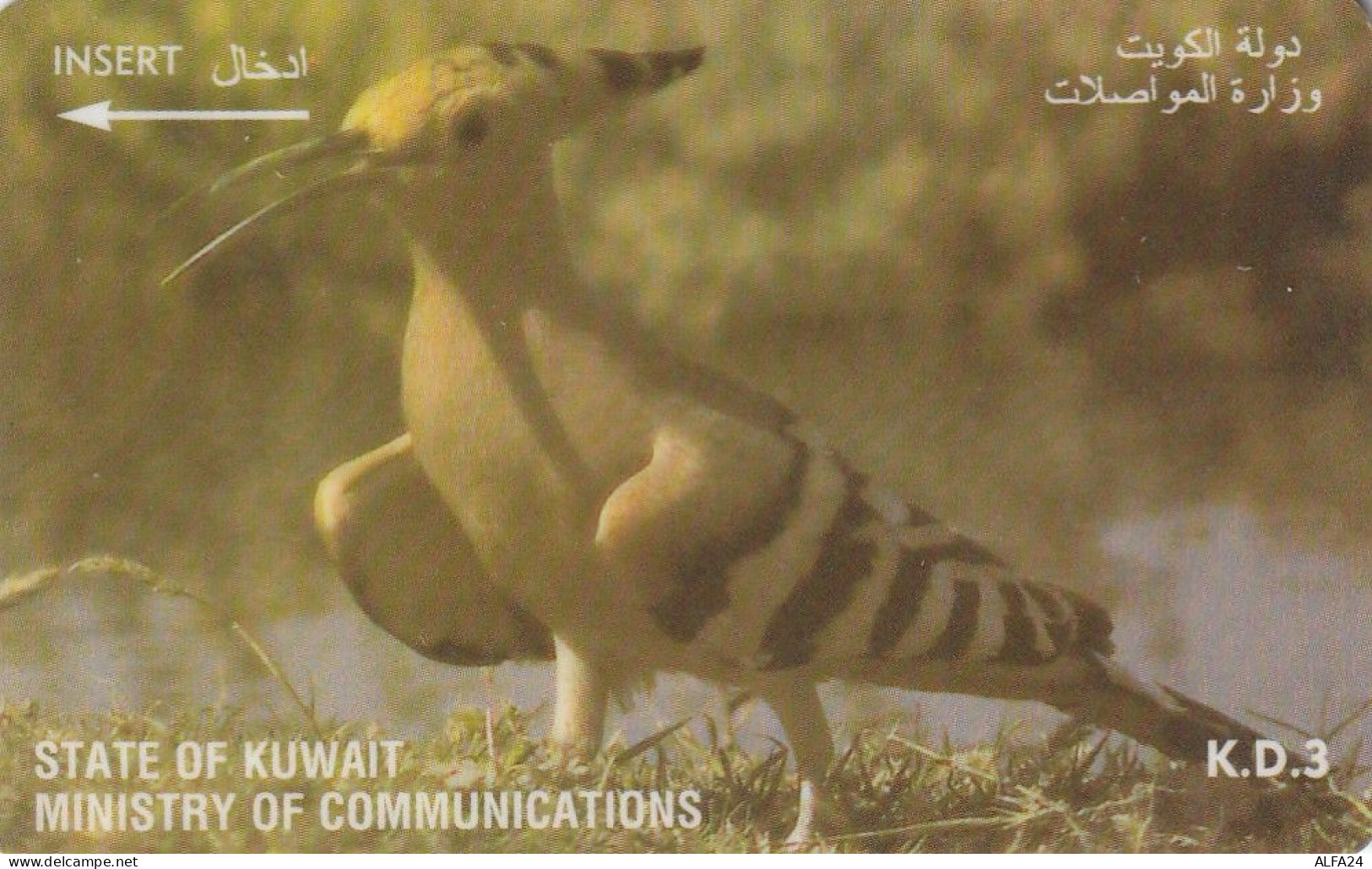 PHONE CARD KUWAIT  (CV1489 - Koweït