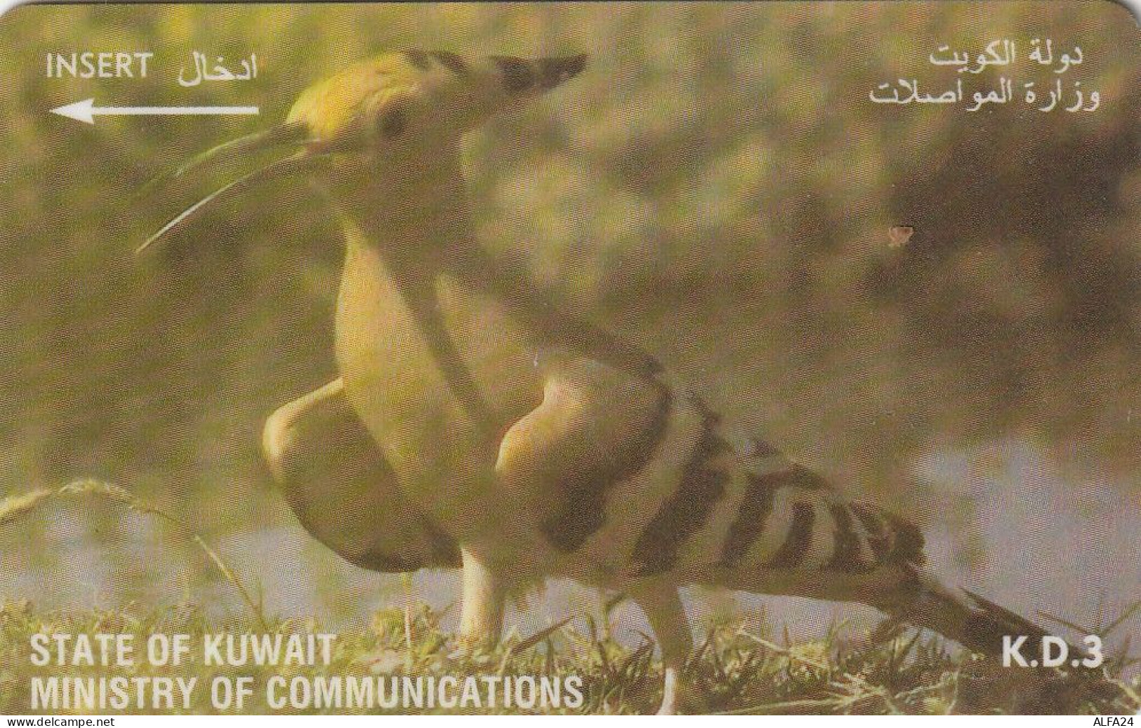 PHONE CARD KUWAIT  (CV1491 - Koweït