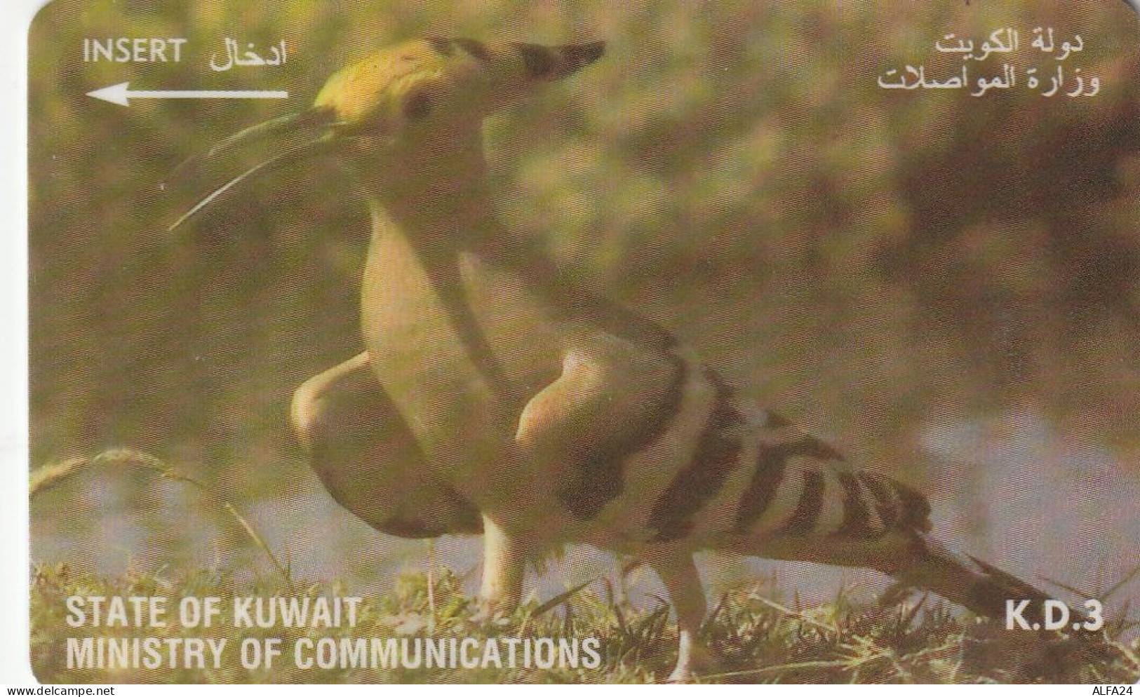 PHONE CARD KUWAIT  (CV1487 - Koweït